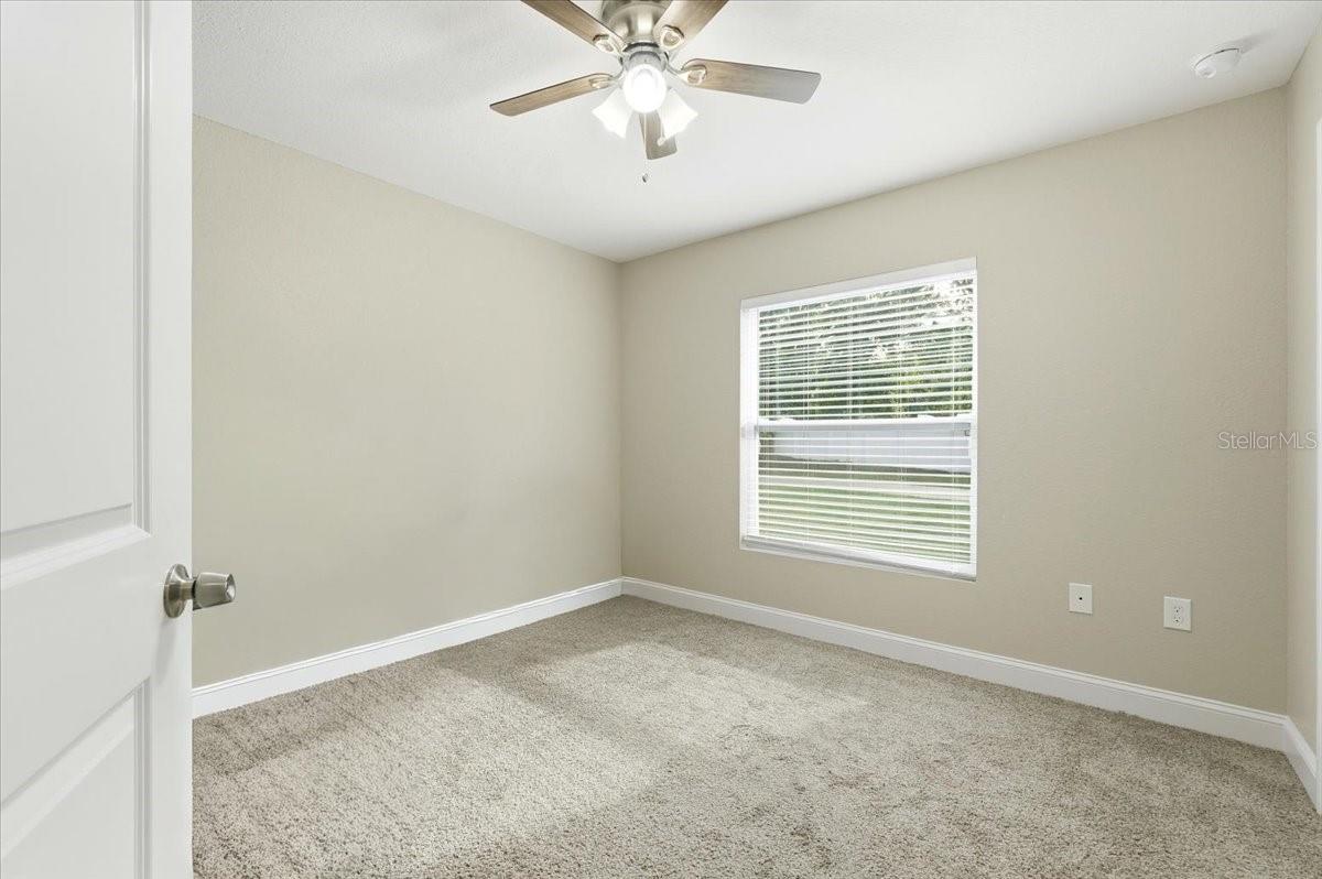 Image 33 of 55 For 31 Morgan Street