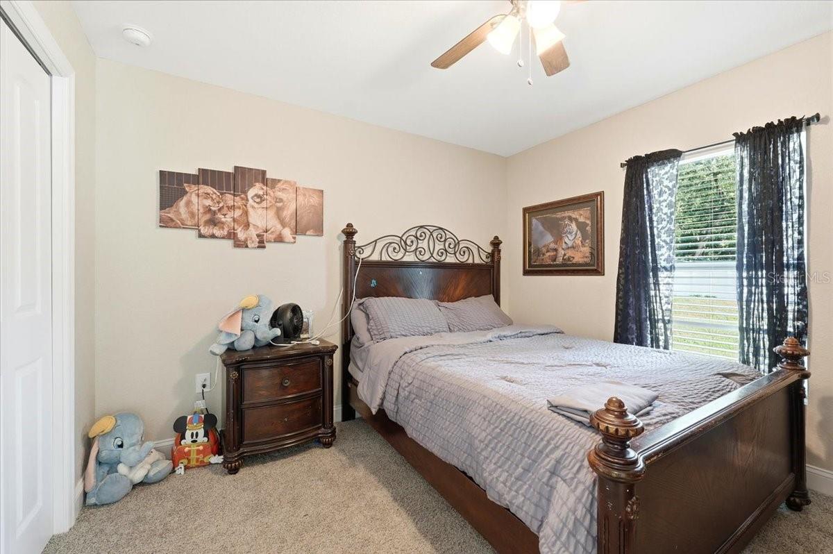 Image 34 of 55 For 31 Morgan Street