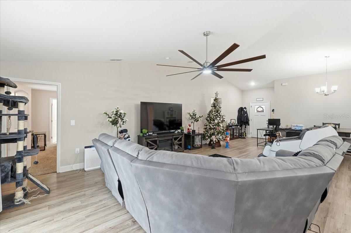 Image 8 of 55 For 31 Morgan Street