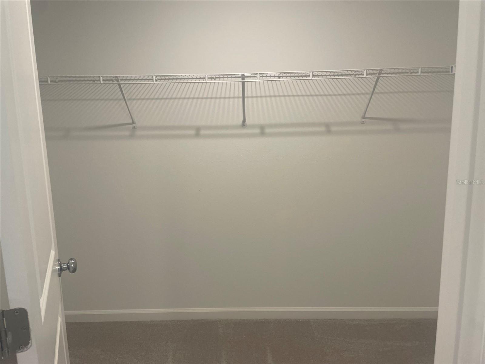 Image 13 of 20 For 3480 Chinotto