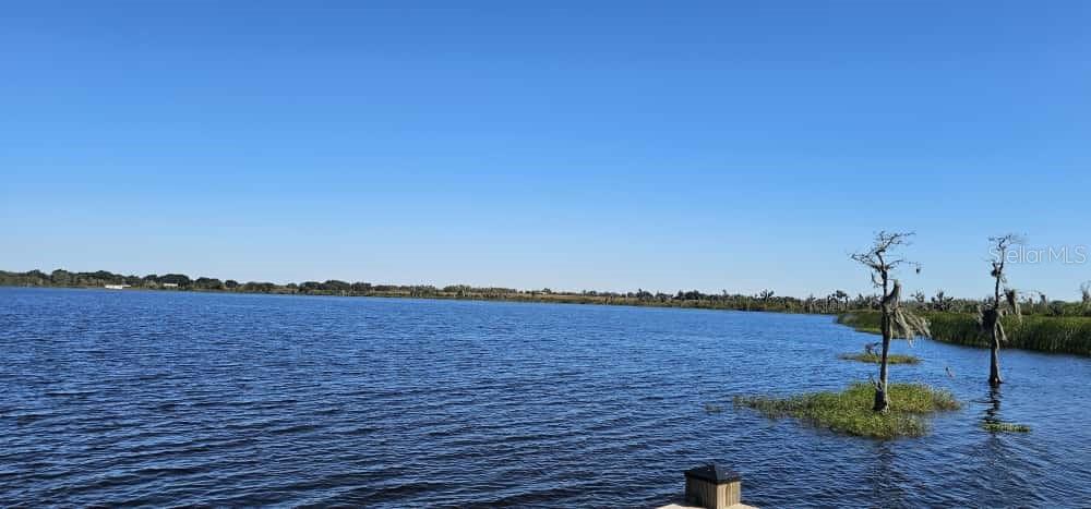 Image 42 of 51 For 3881 Corsican Place