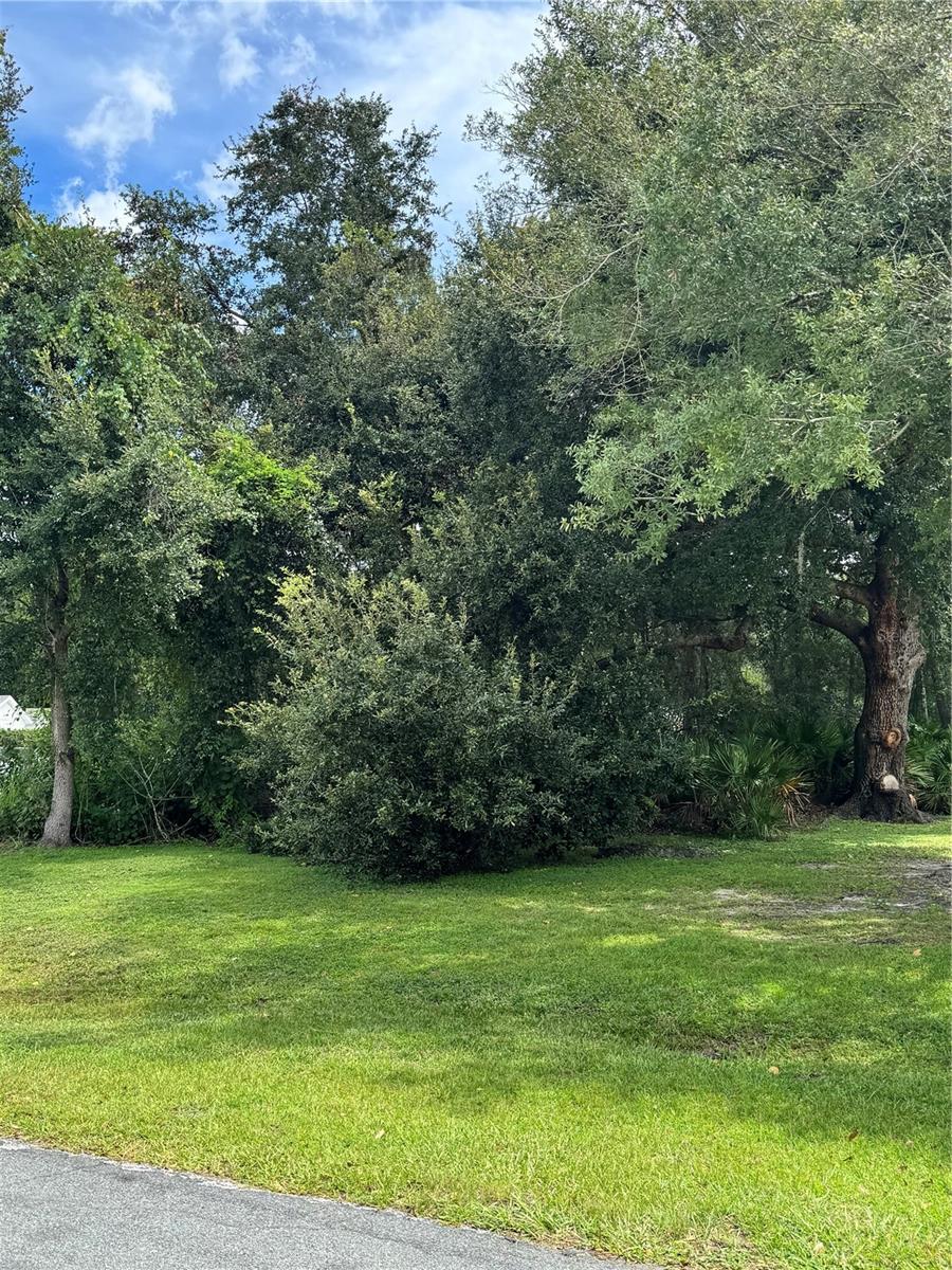 Details for 0 Tiffany Court, KISSIMMEE, FL 34758