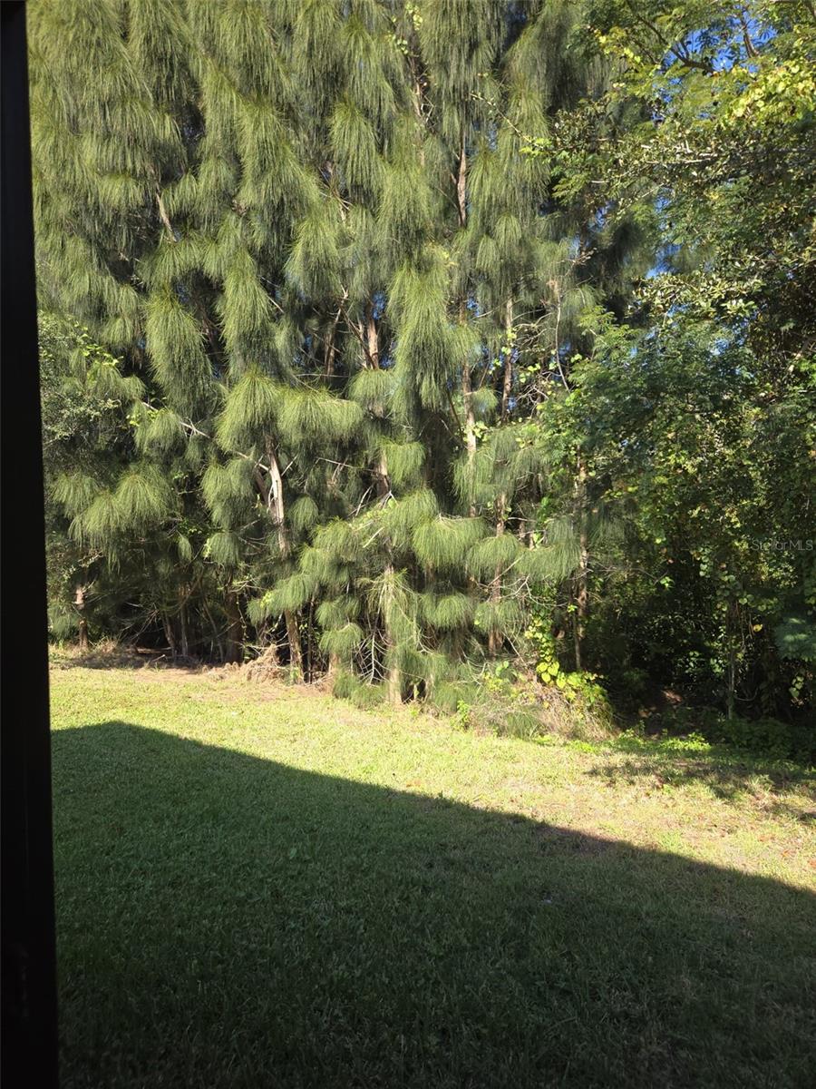 Image 17 of 29 For 3177 Montserrat Place