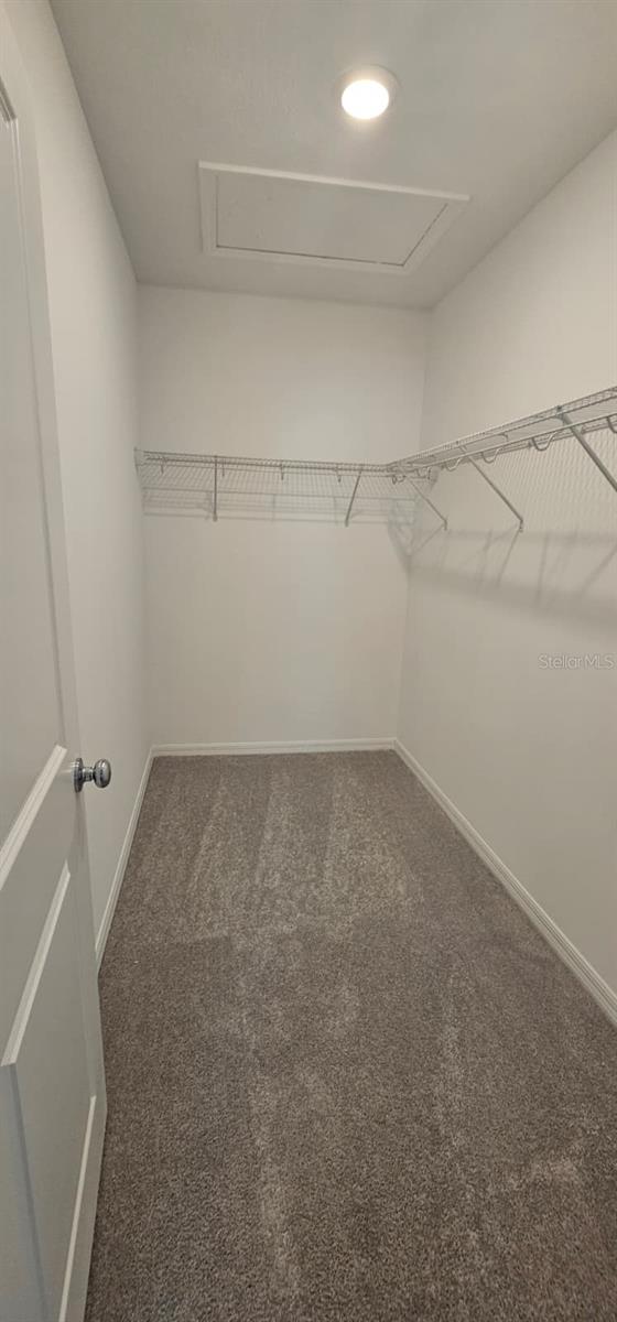 Image 23 of 37 For 677 Teviot Road