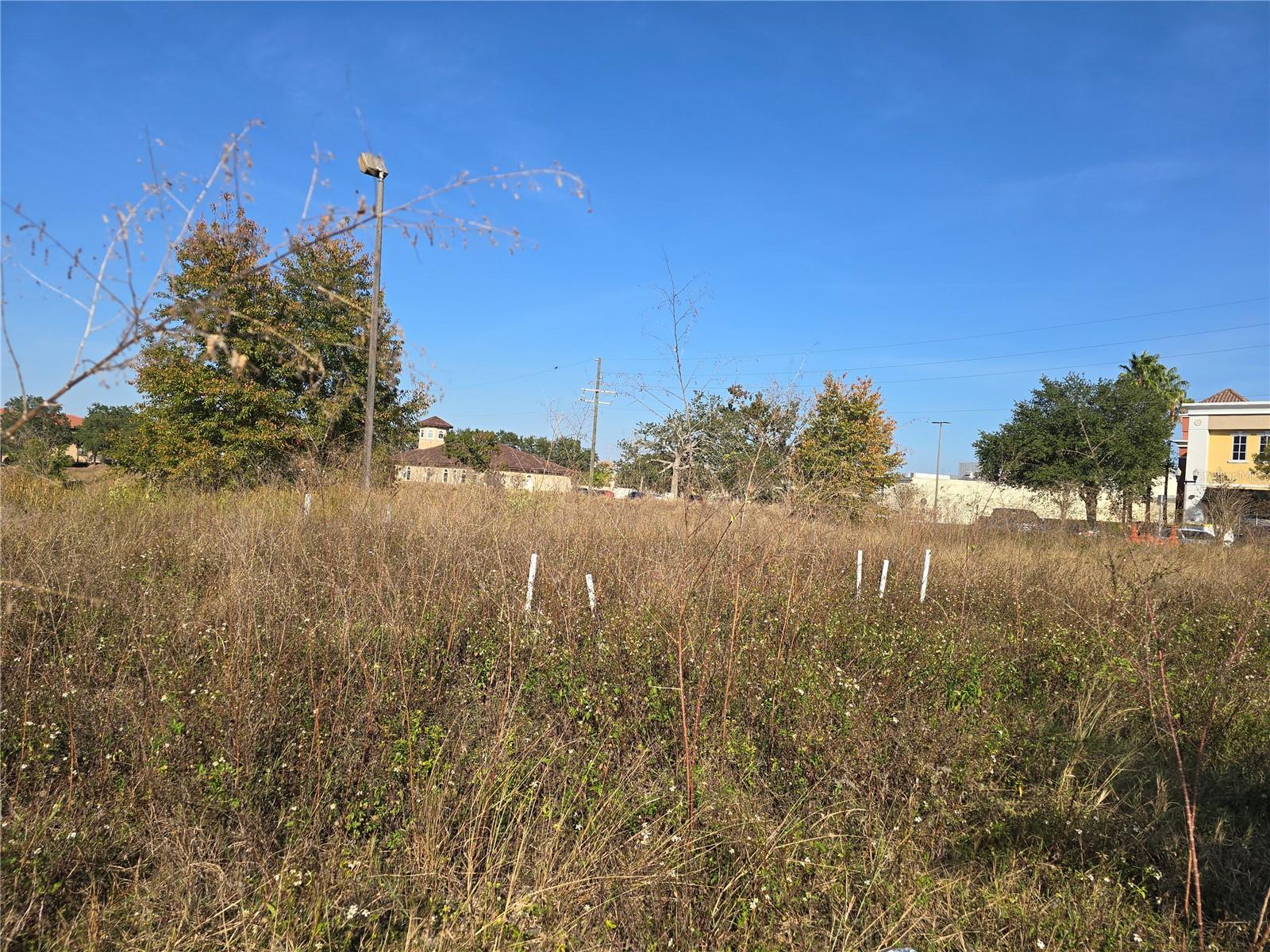 Image 2 of 11 For 821 Retreat Boulevard 102