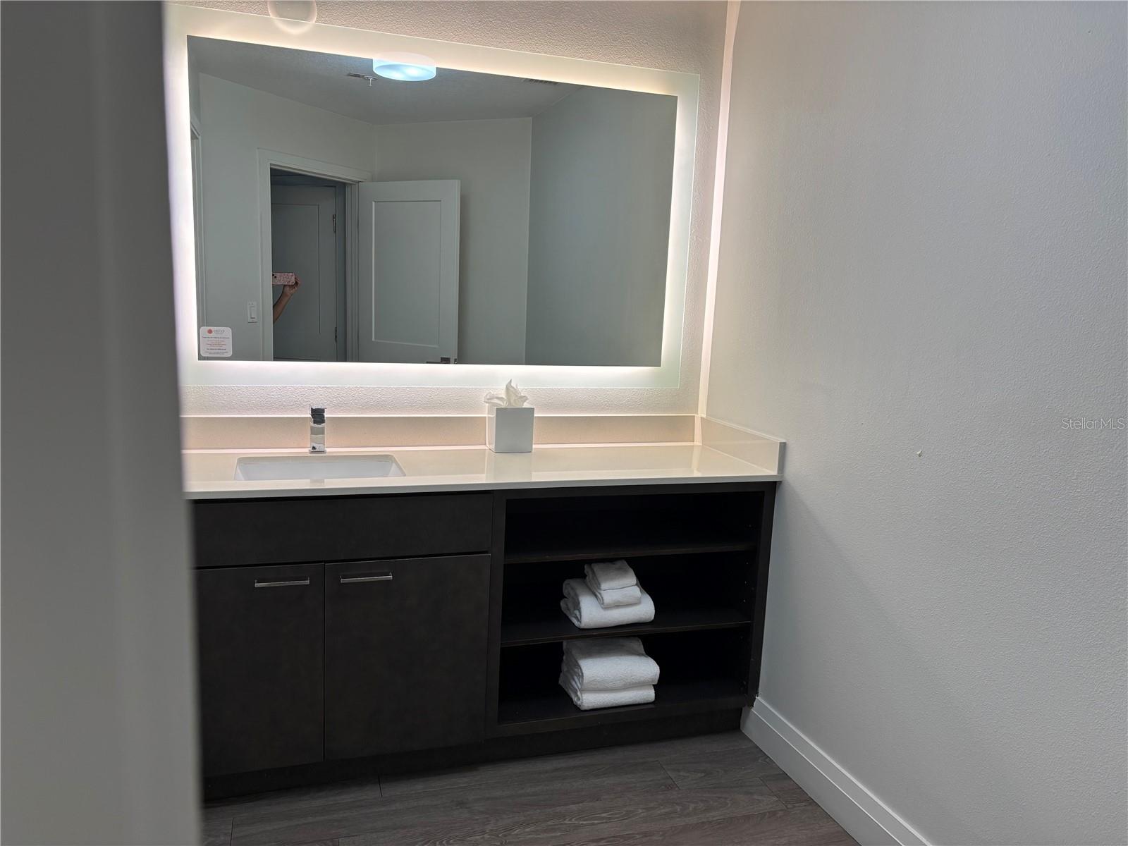 Image 12 of 34 For 14501 Grove Resort Avenue 3304