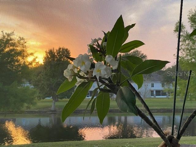 Image 27 of 48 For 3050 Mandolin Drive