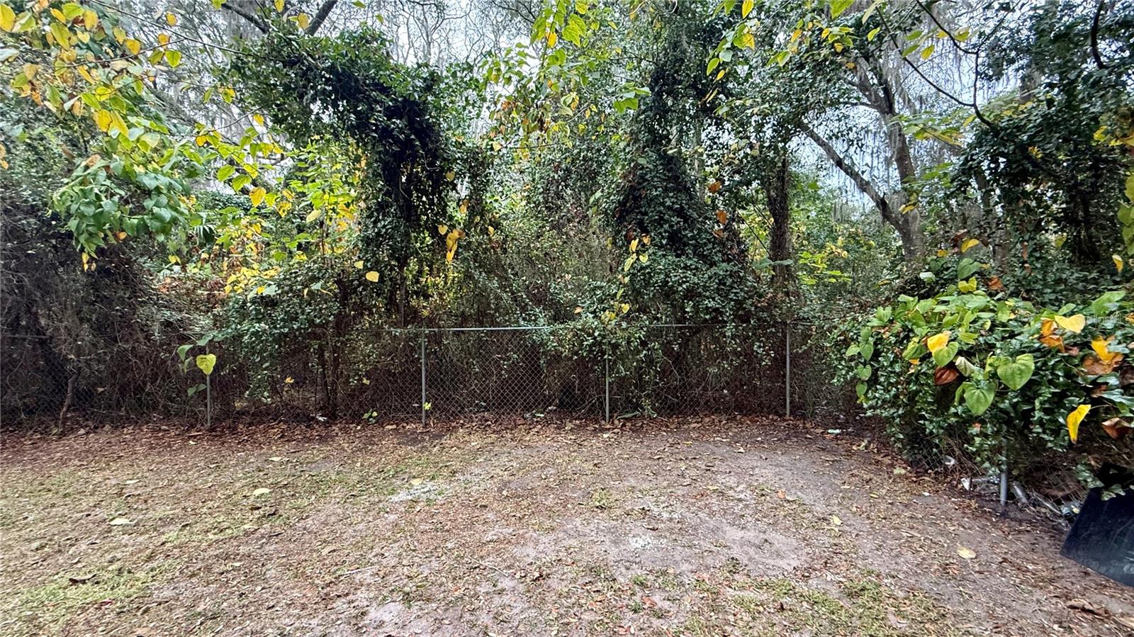 Image 6 of 10 For 213 Dr Martin Luther King Jr Avenue