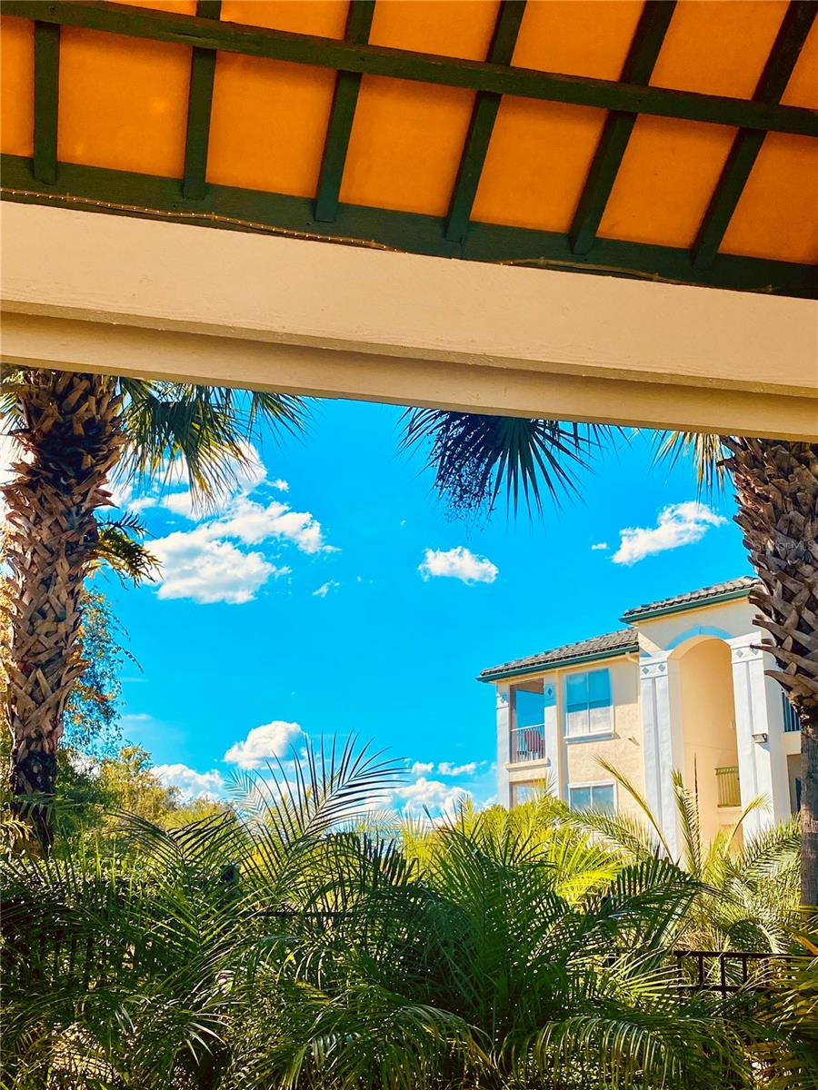 Image 46 of 53 For 8917 Legacy Court 306