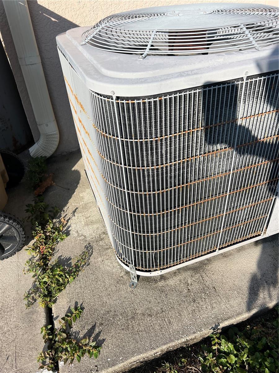 Image 36 of 52 For 1453 Rylee Rock Way