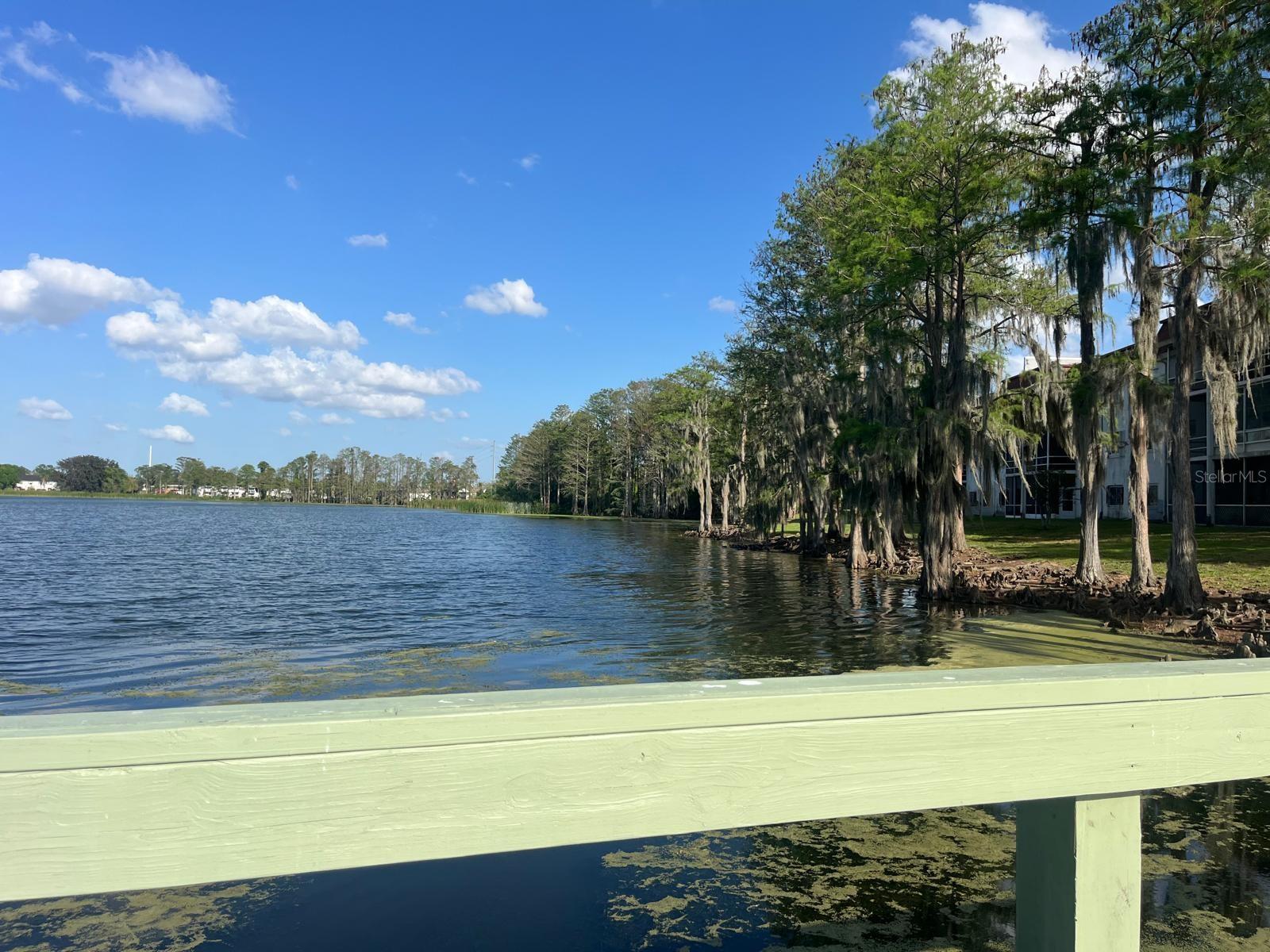 Image 29 of 36 For 4575 Texa Avenue 307