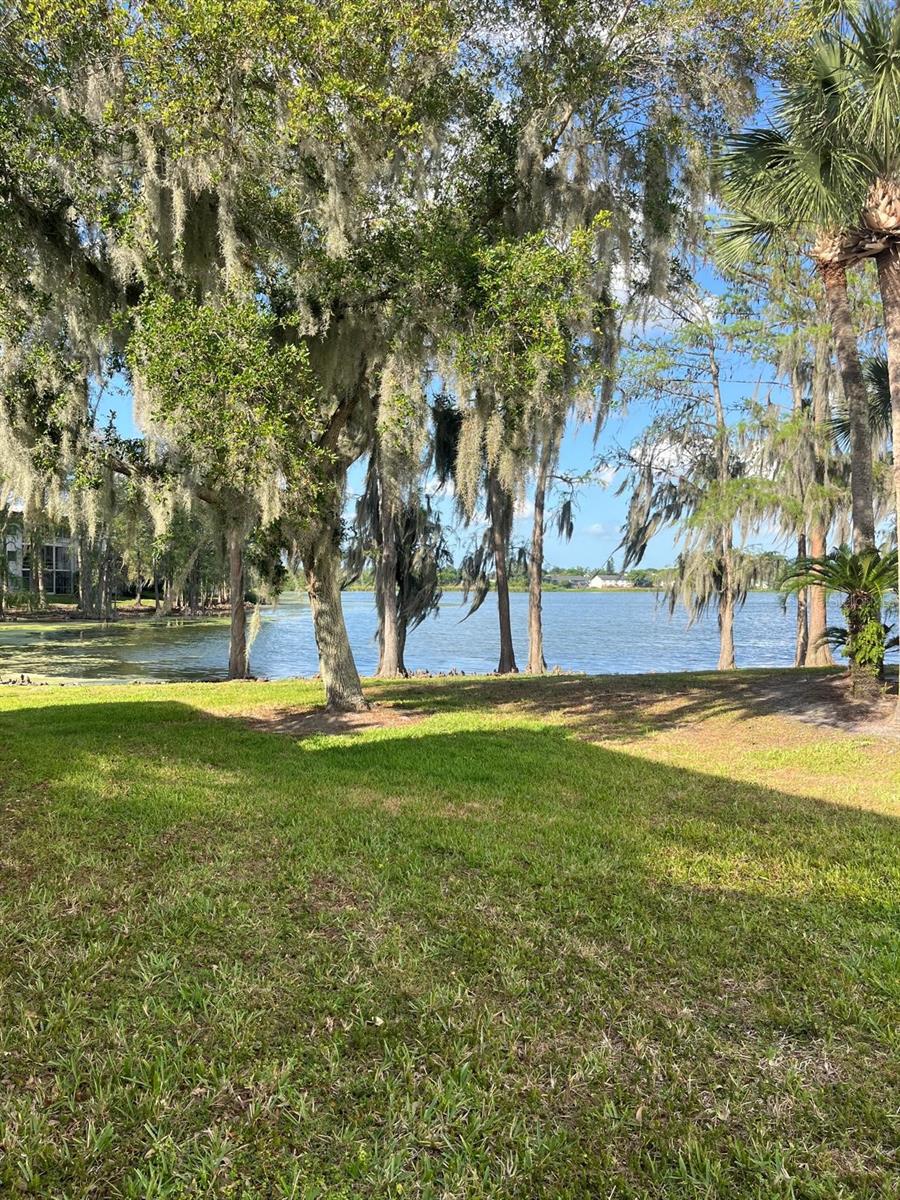 Image 31 of 36 For 4575 Texa Avenue 307