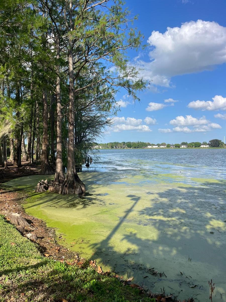 Image 36 of 36 For 4575 Texa Avenue 307