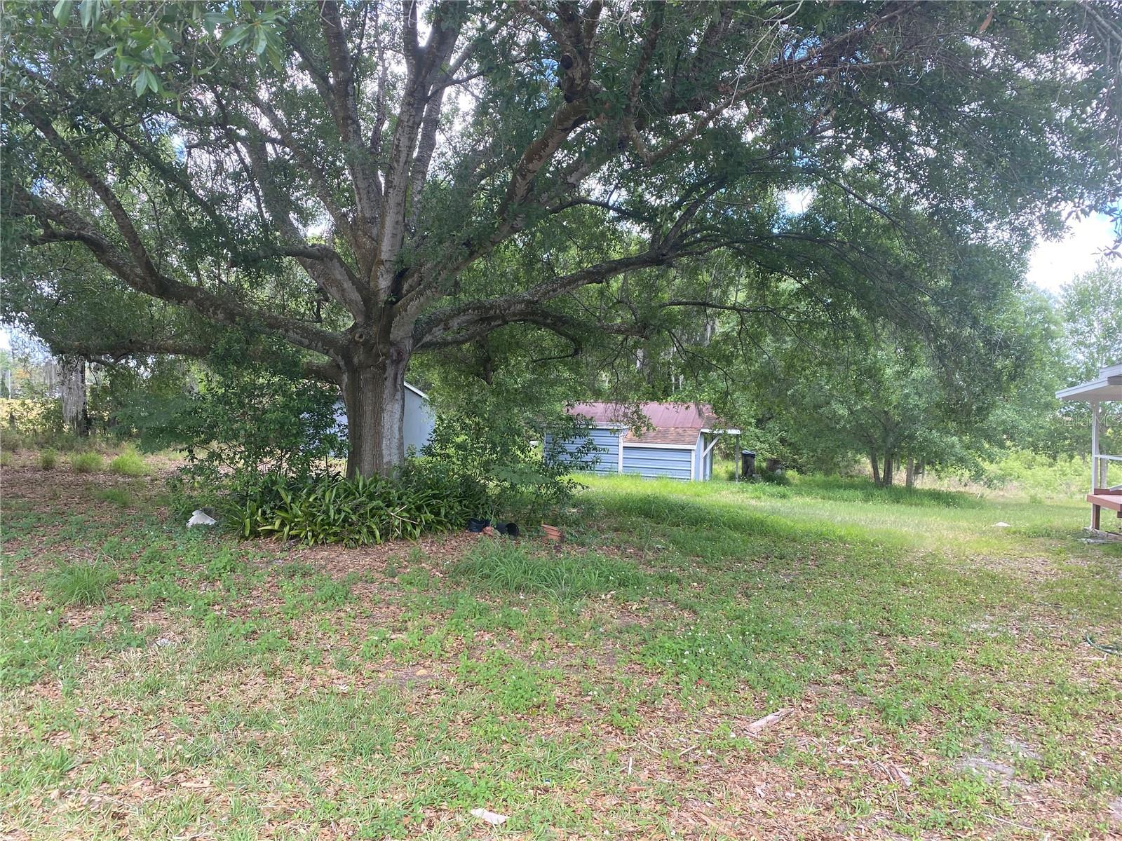 Image 4 of 38 For 431 Miami Street