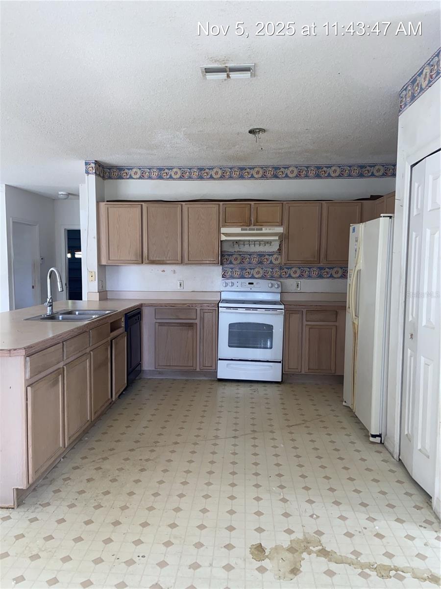 Image 4 of 16 For 447 Acacia Tree Way