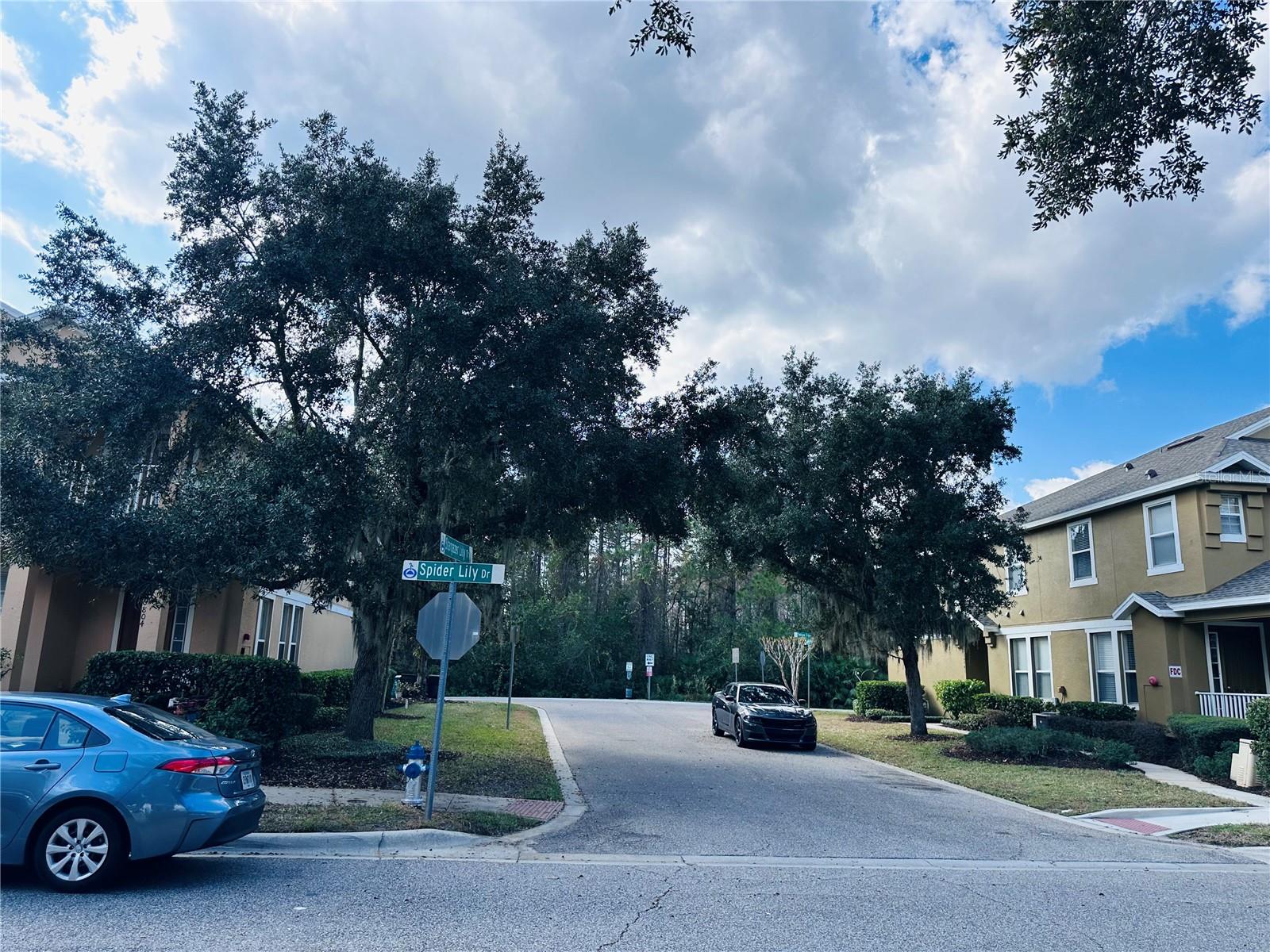 Image 31 of 42 For 10801 Spider Lily Drive S