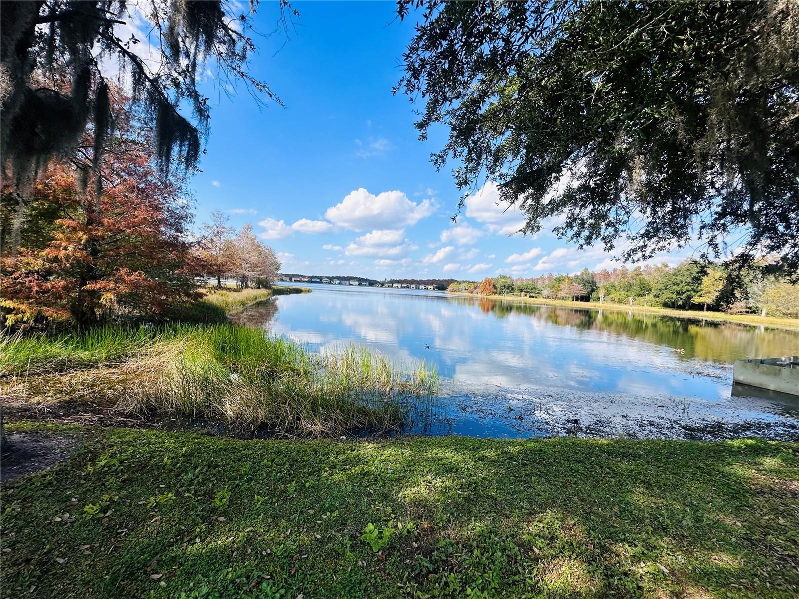 Image 34 of 42 For 10801 Spider Lily Drive S