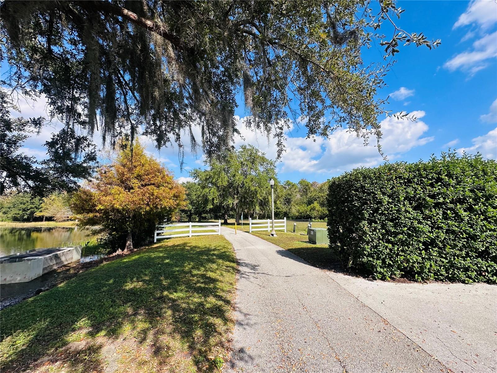 Image 35 of 42 For 10801 Spider Lily Drive S