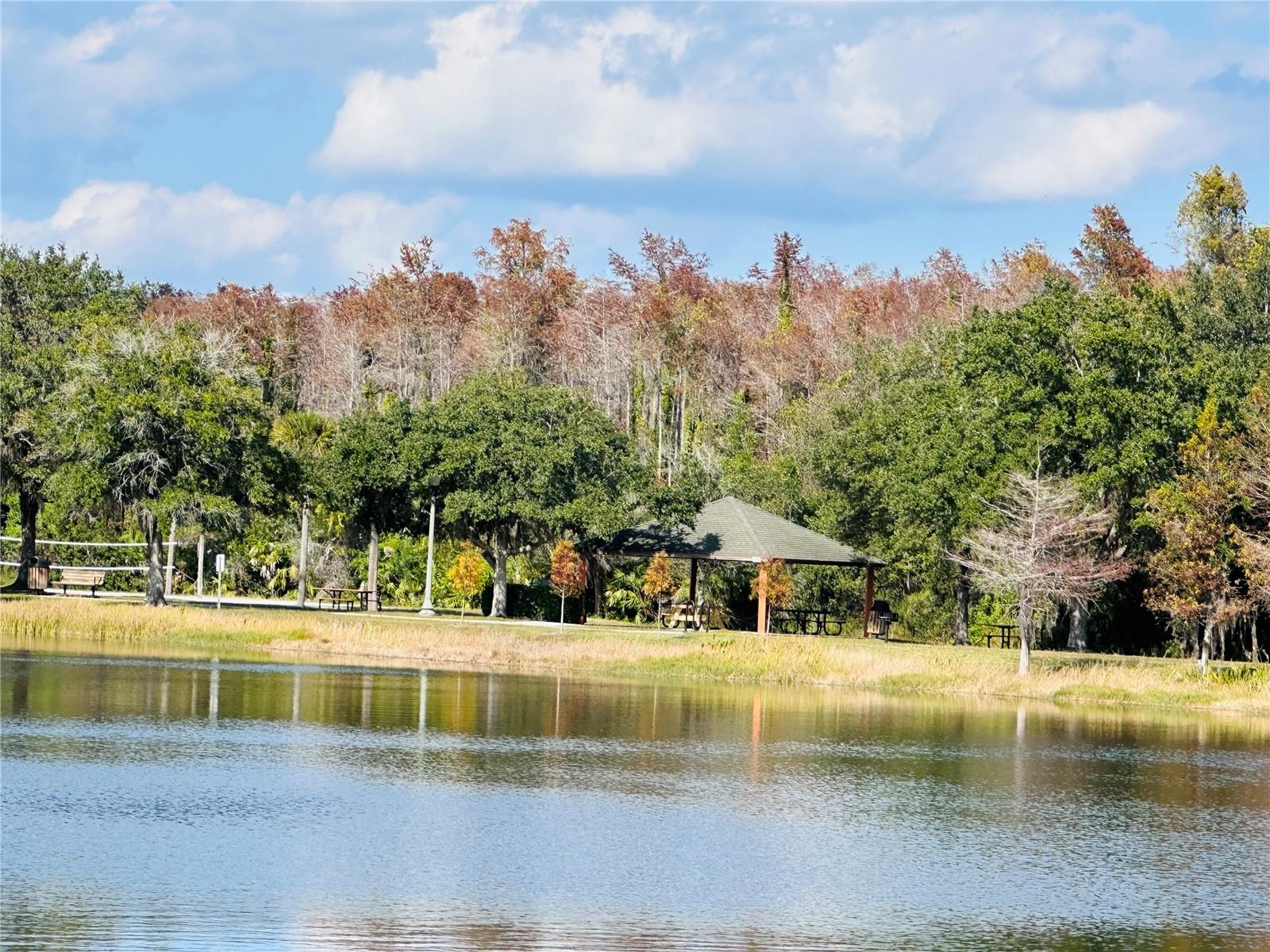 Image 39 of 42 For 10801 Spider Lily Drive S