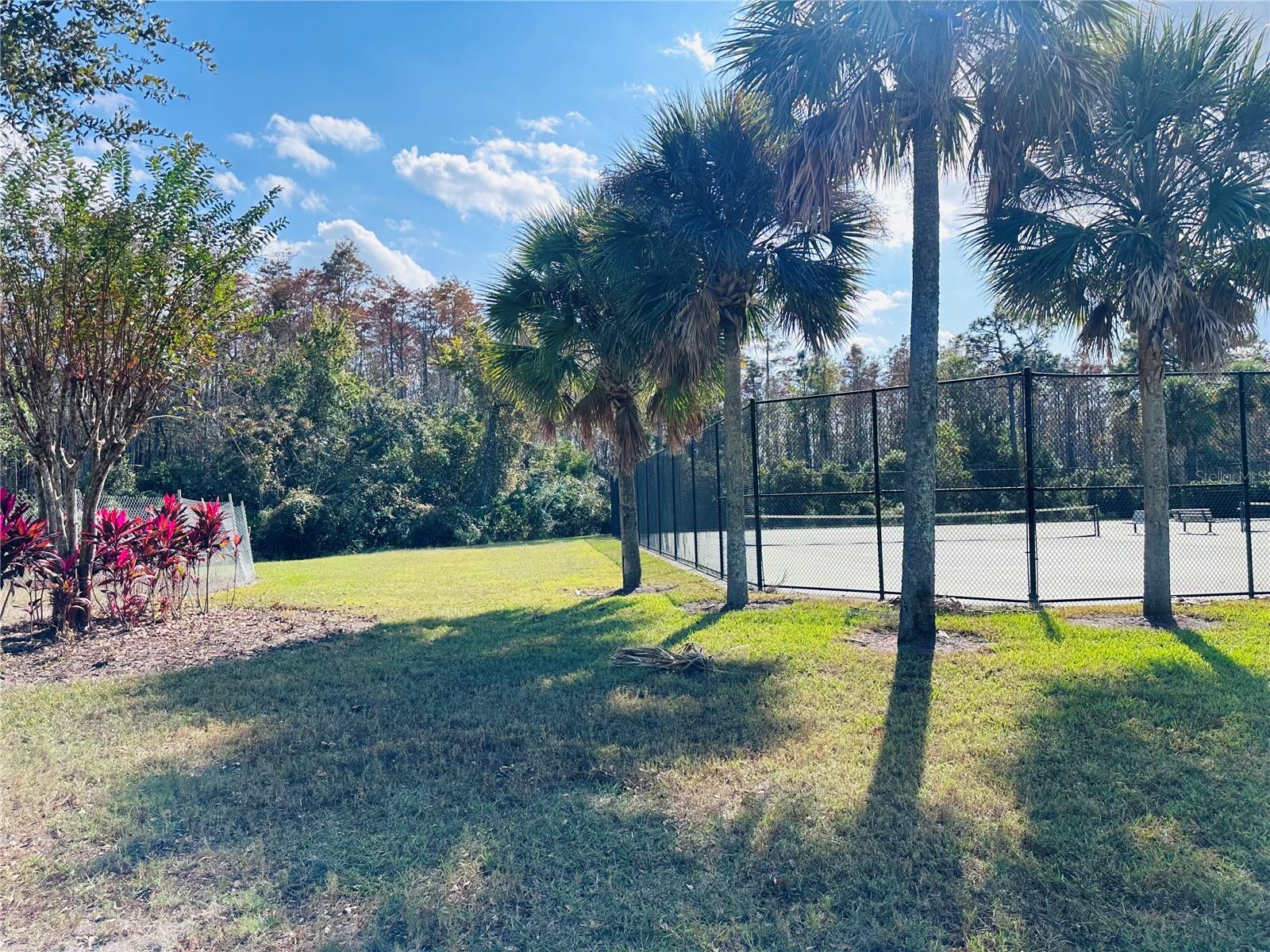 Image 41 of 42 For 10801 Spider Lily Drive S