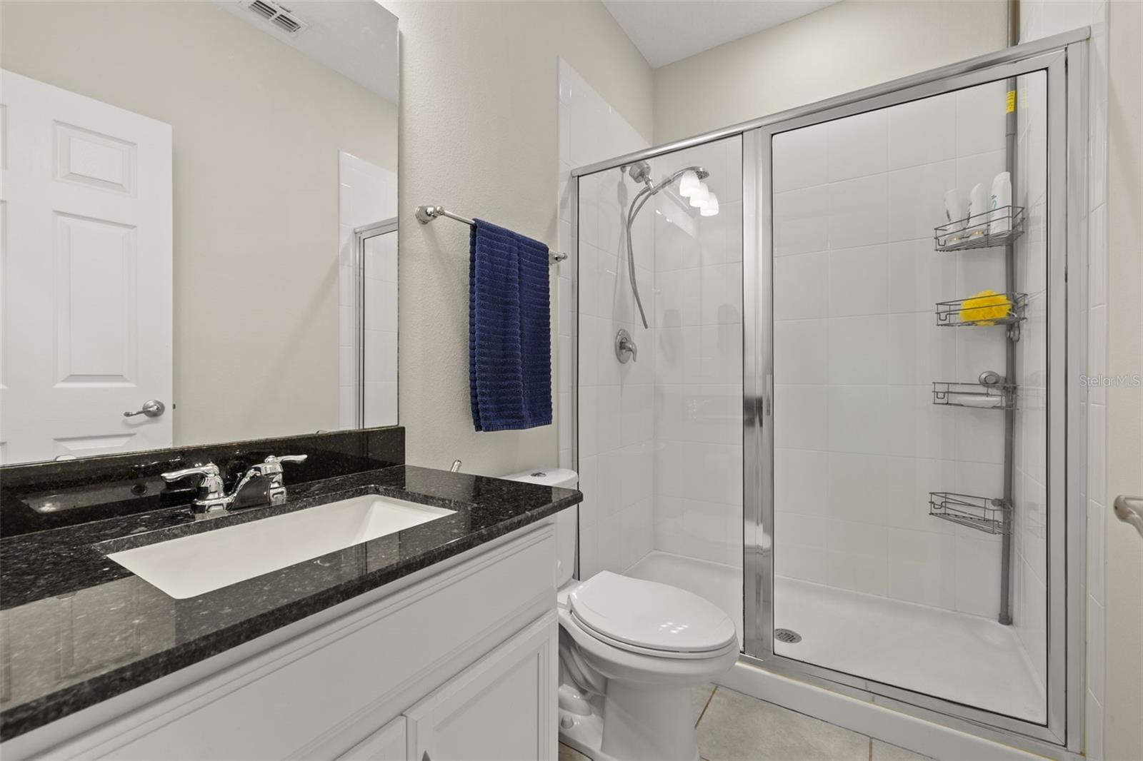 Image 37 of 52 For 9870 Summerlake Groves Street