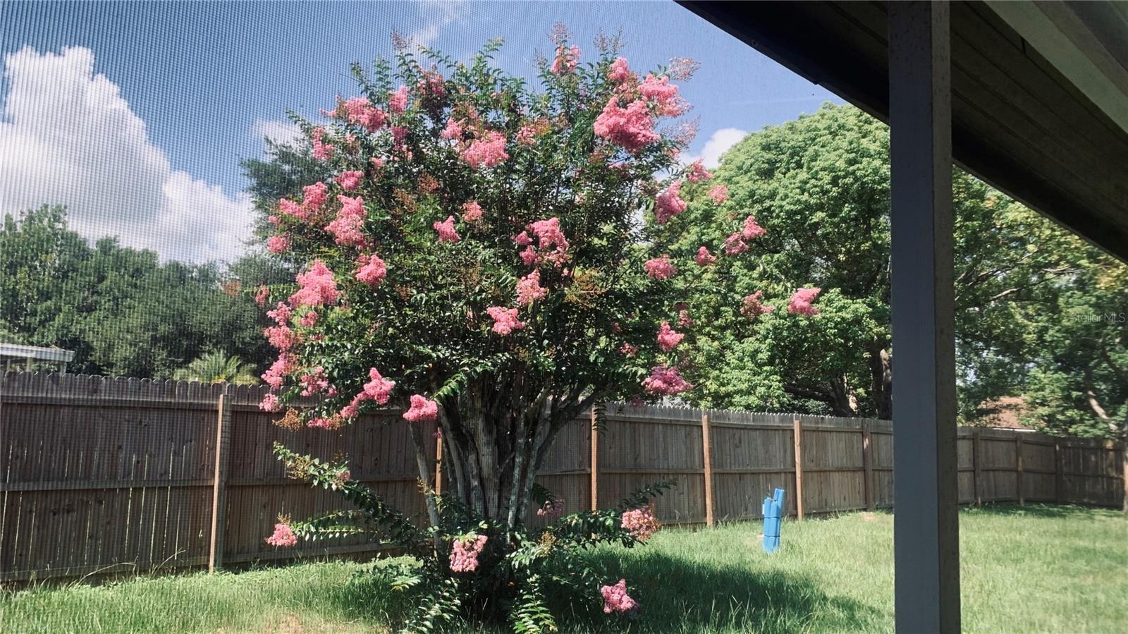 Image 5 of 27 For 11734 Oswalt Road