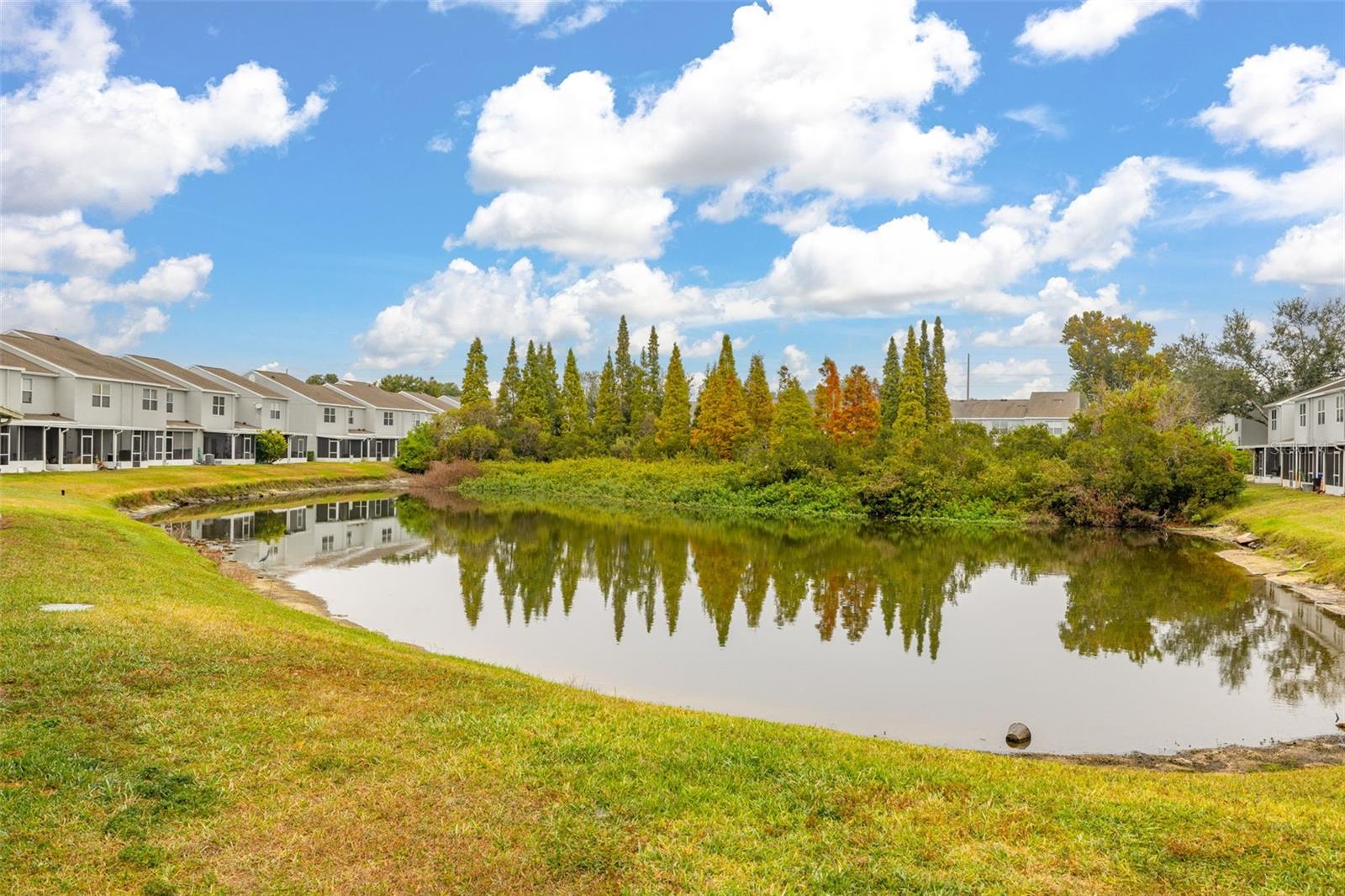 Image 35 of 53 For 6124 Osprey Lake Circle