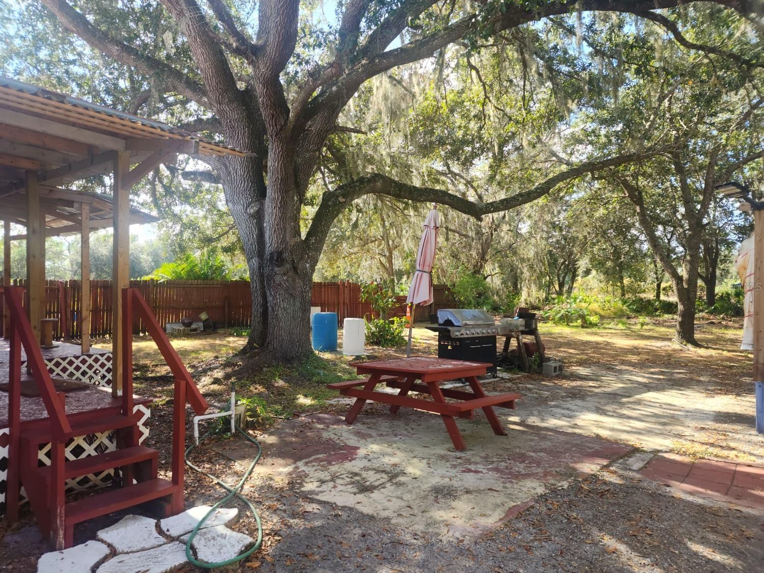 Image 6 of 15 For 82 Silvio Road