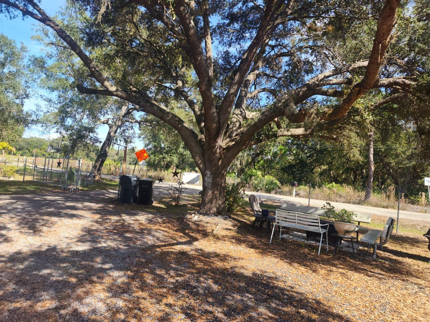 Image 8 of 15 For 82 Silvio Road