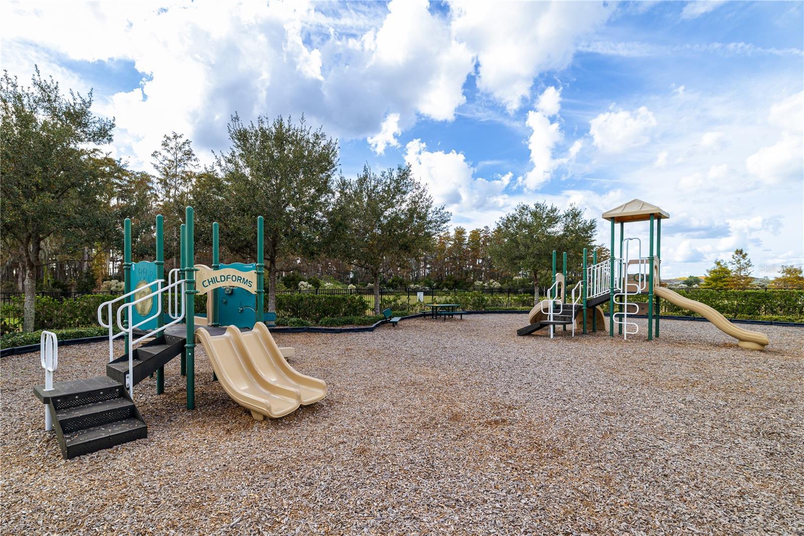 Image 23 of 27 For 4007 Green Sabal