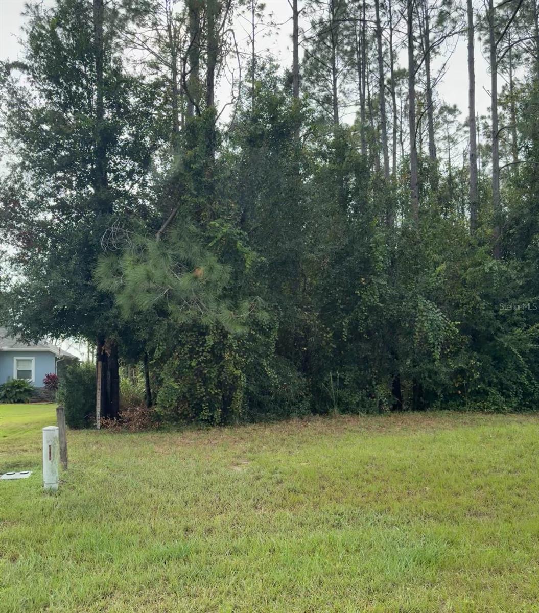 Details for Lake Smith Road, UMATILLA, FL 32784
