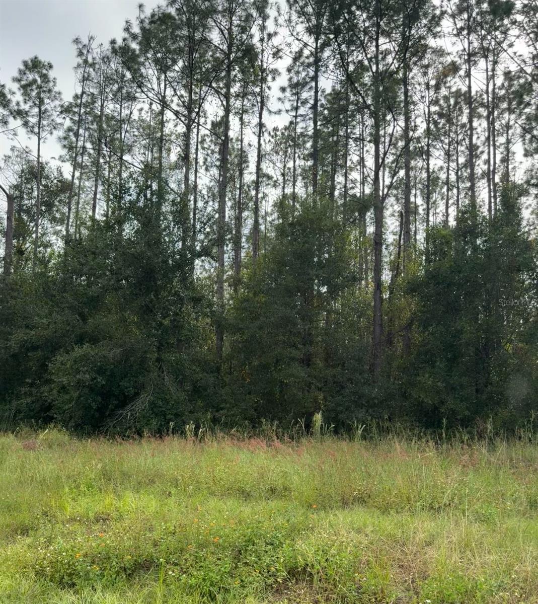 Image 3 of 8 For Lake Smith Road