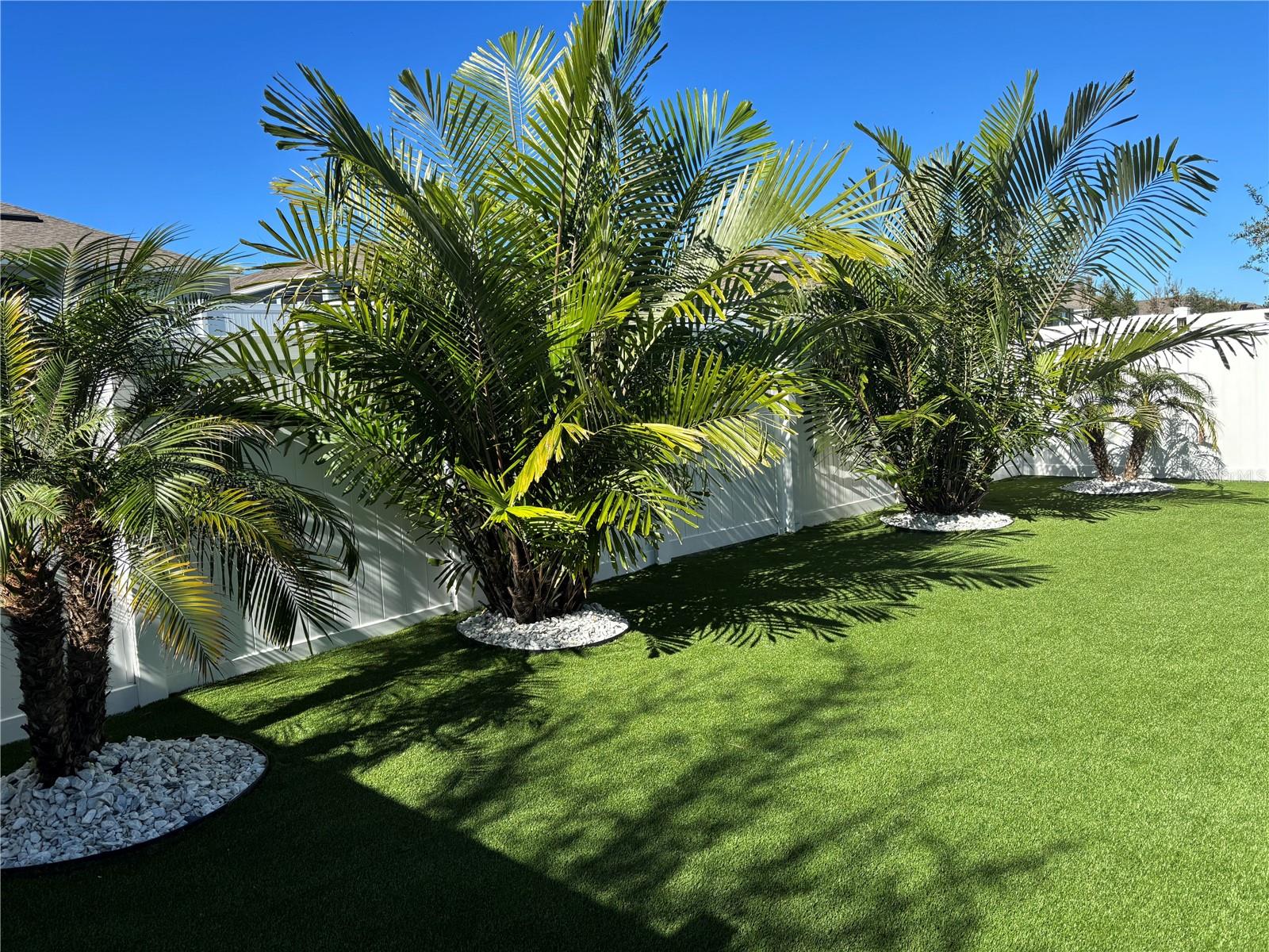 Image 28 of 31 For 851 August Sky