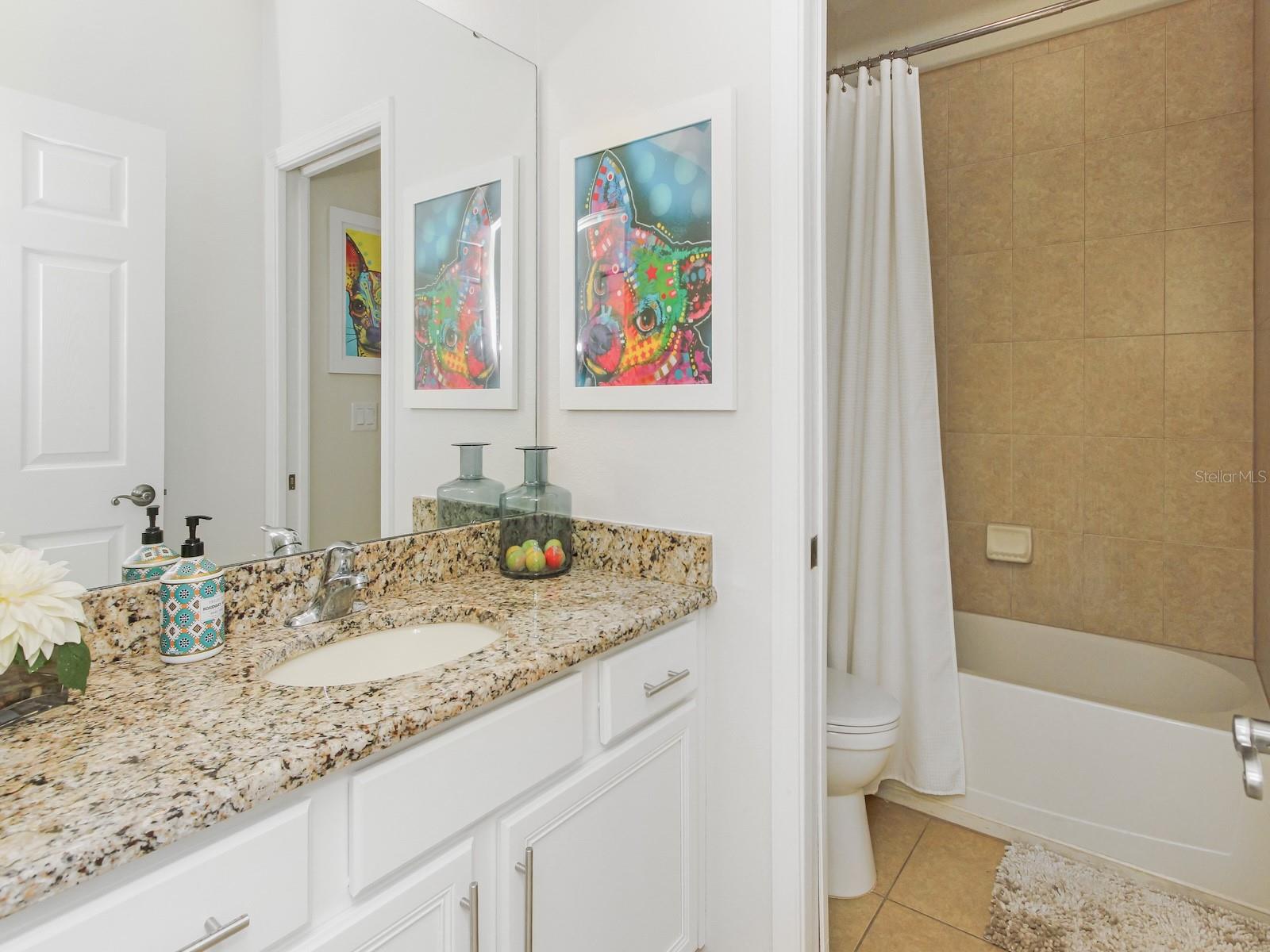 Image 30 of 43 For 4461 Indigo Sky Lane