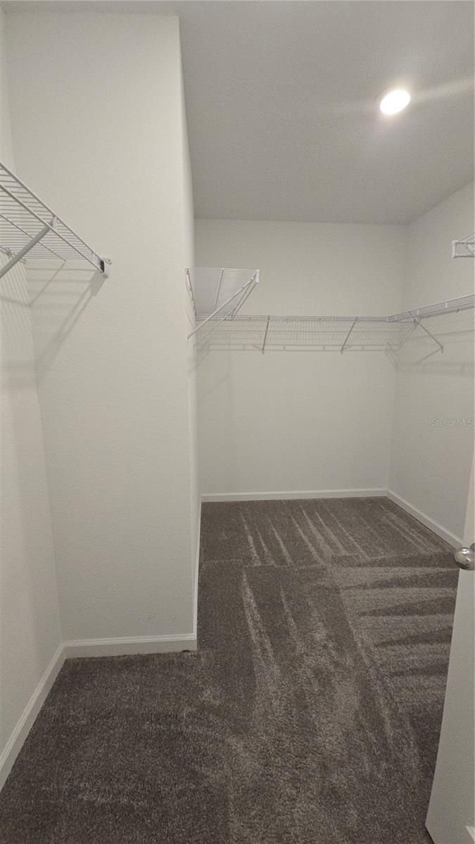 Image 16 of 43 For 4253 Twisted Twig Bend