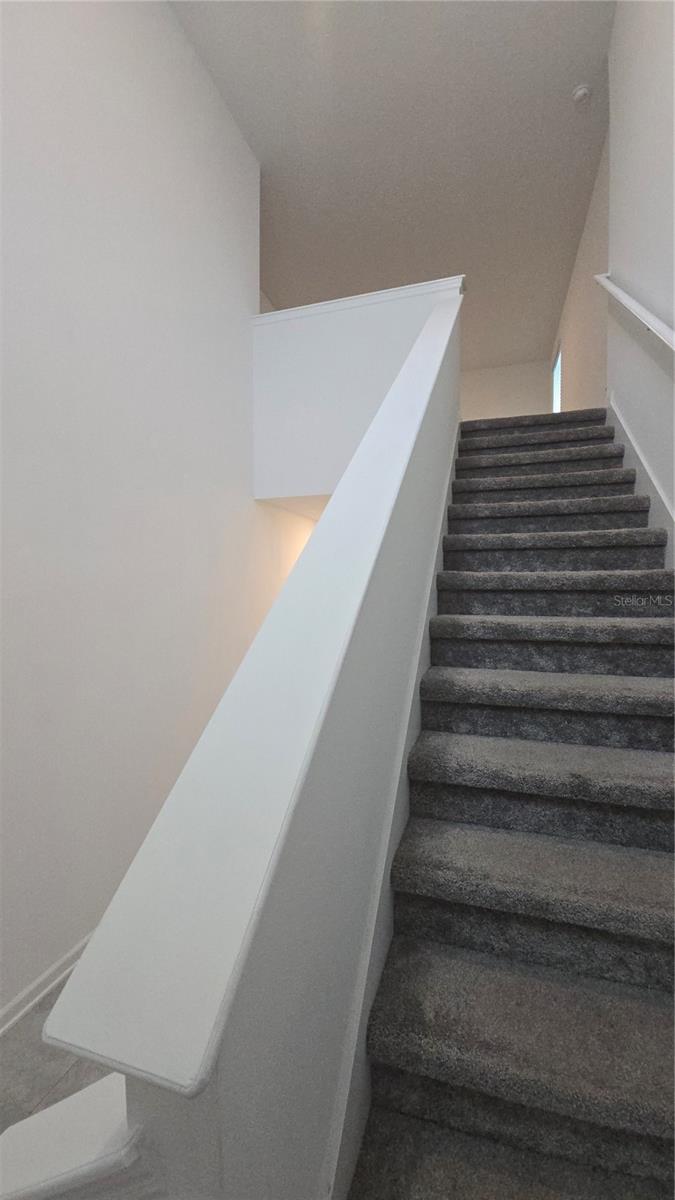 Image 19 of 43 For 4253 Twisted Twig Bend