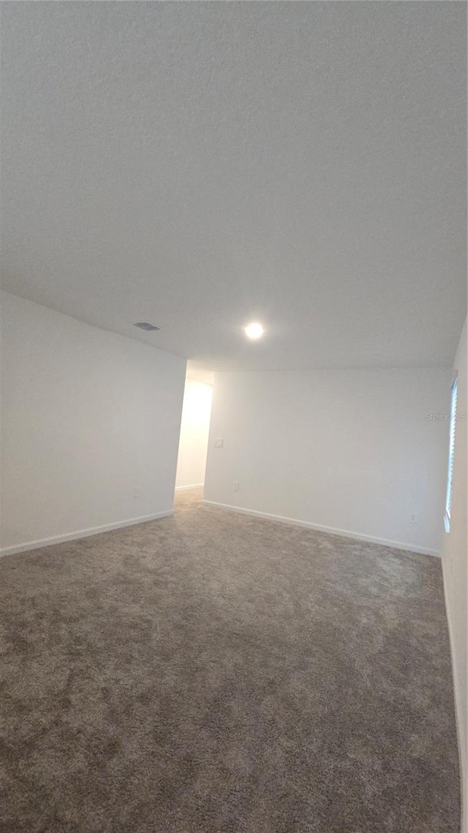 Image 20 of 43 For 4253 Twisted Twig Bend