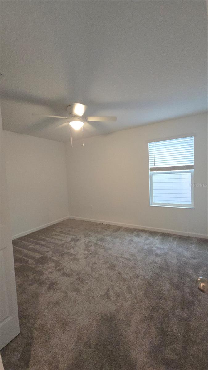 Image 30 of 43 For 4253 Twisted Twig Bend