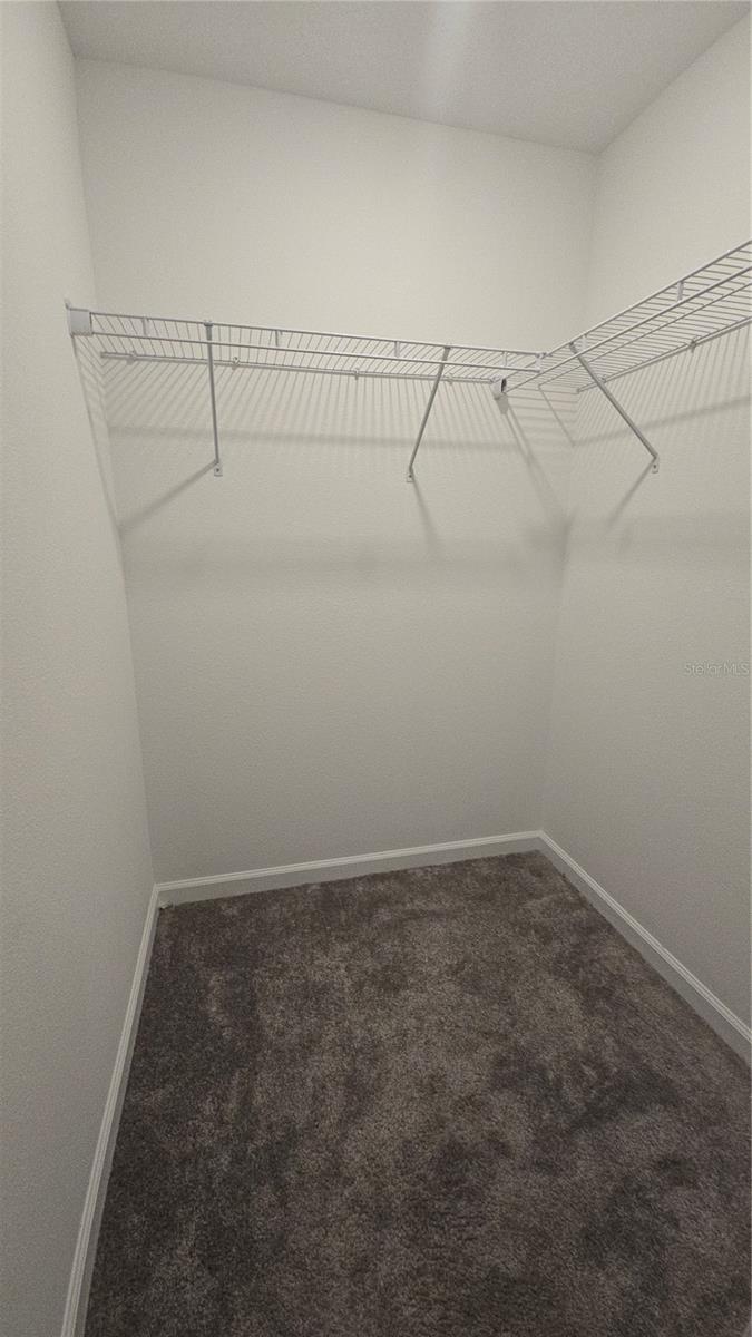 Image 40 of 43 For 4253 Twisted Twig Bend