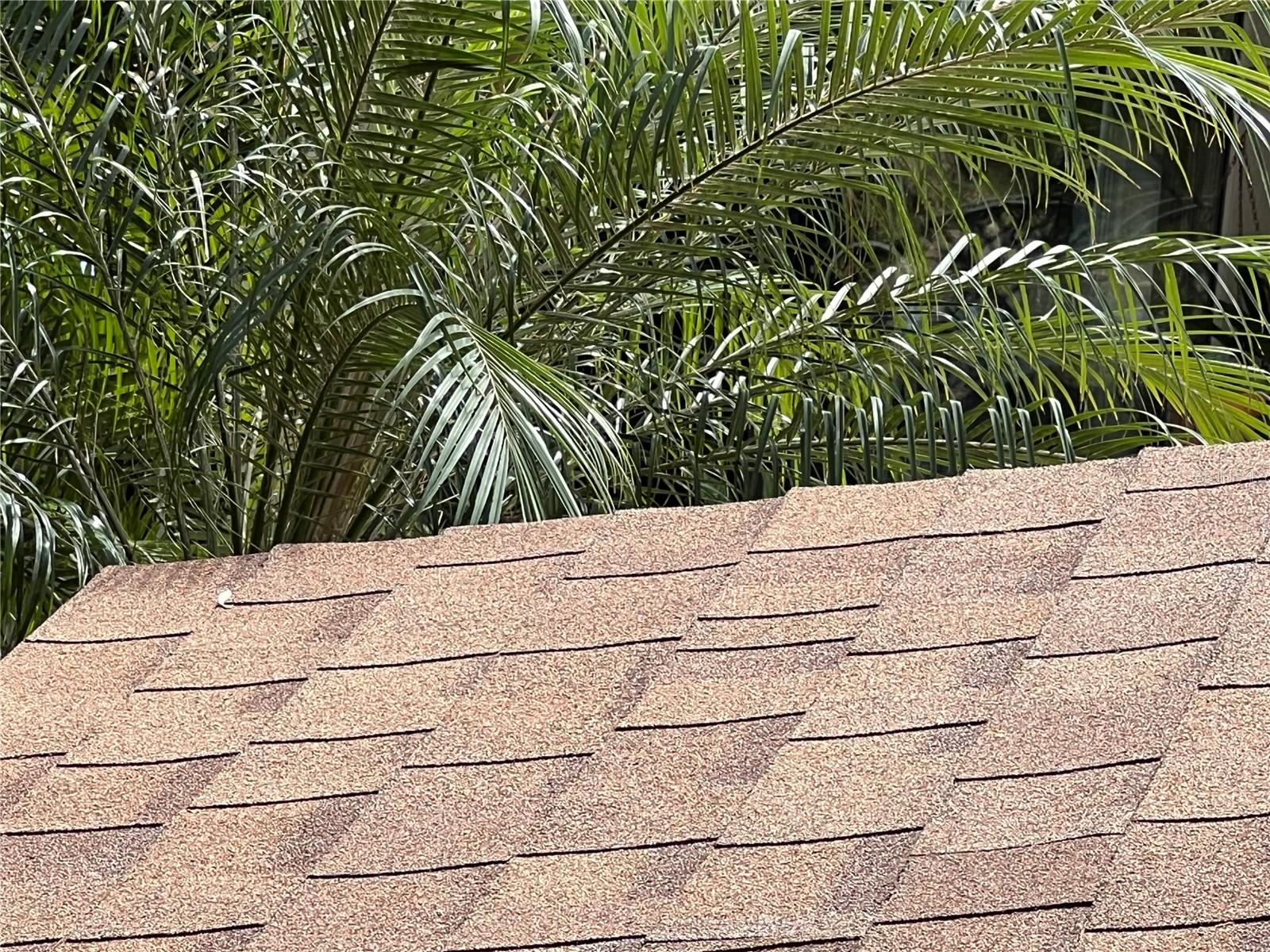 Image 48 of 72 For 2027 Balboa Way