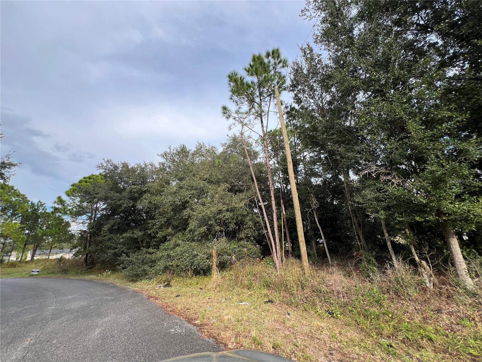 Listing Details for 110 Sail Way, KISSIMMEE, FL 34759