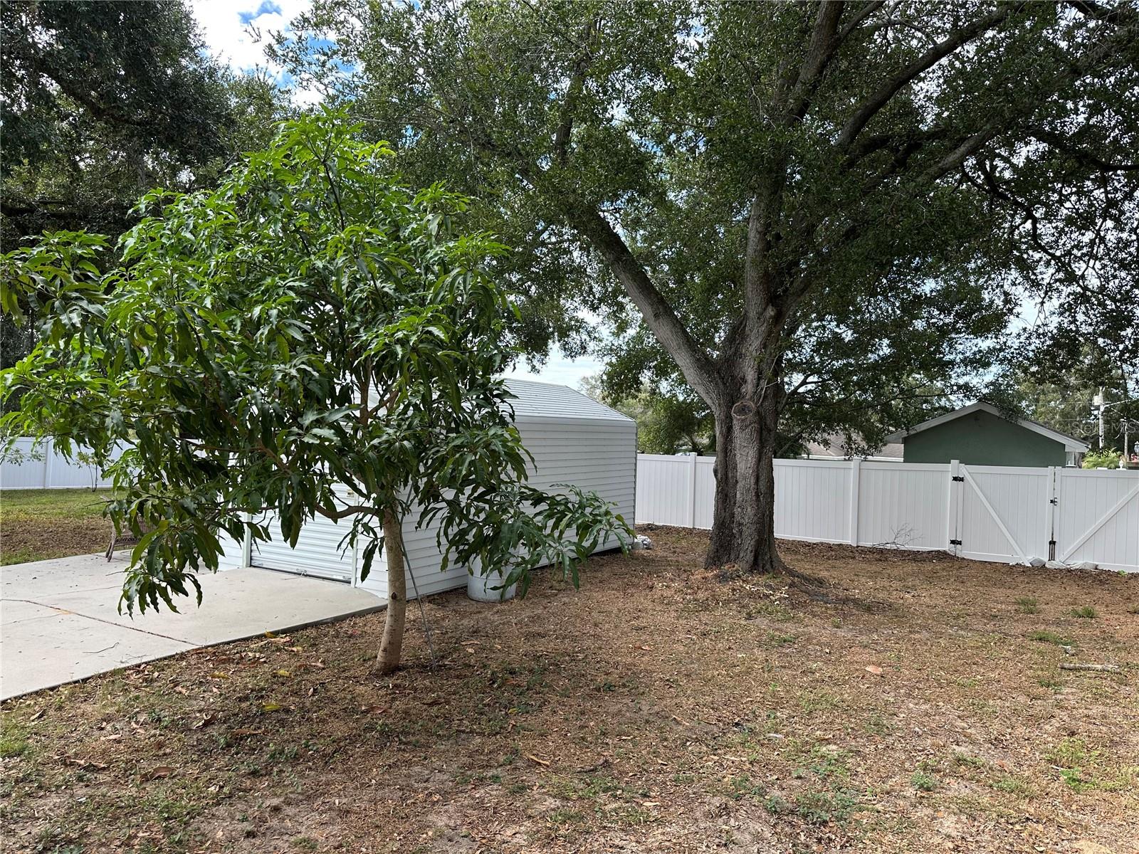 Image 4 of 53 For 221 2nd Street