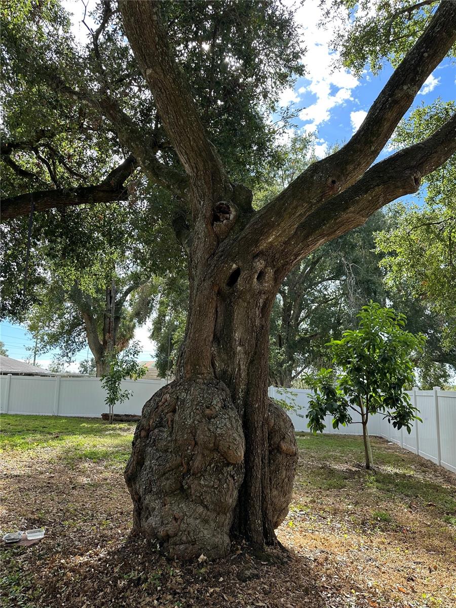 Image 43 of 53 For 221 2nd Street