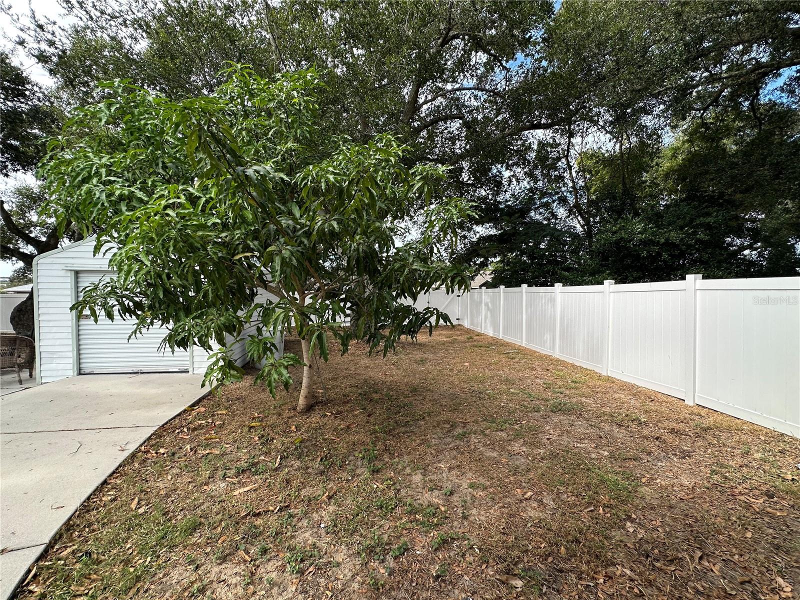 Image 48 of 53 For 221 2nd Street