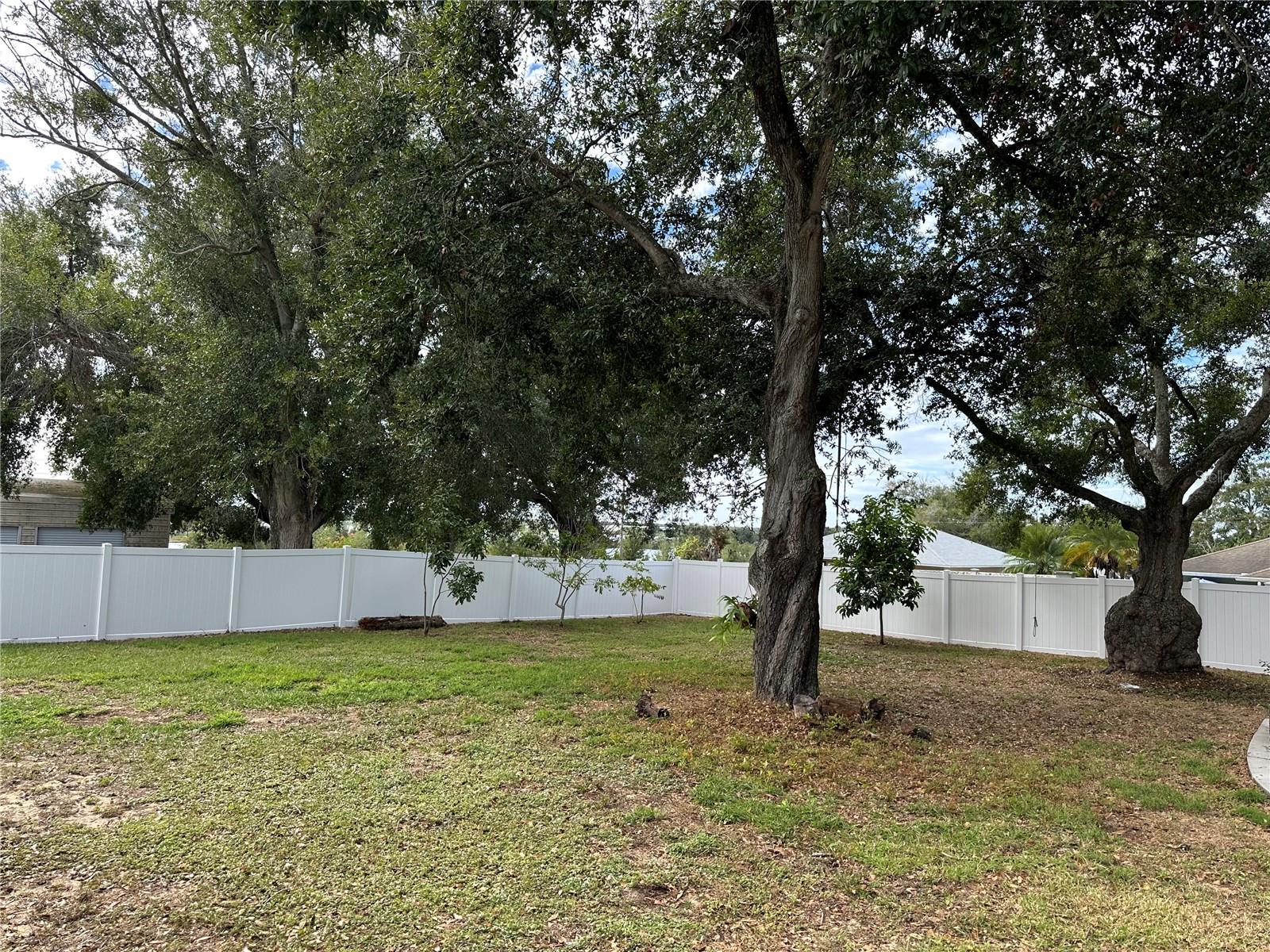 Image 6 of 53 For 221 2nd Street