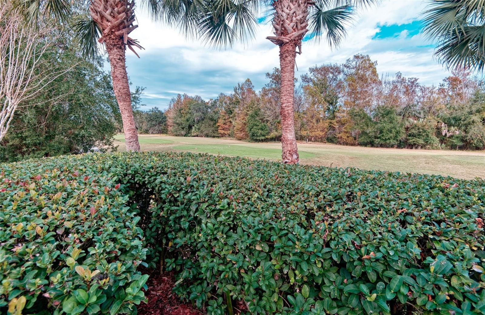 Image 48 of 52 For 591 Highlands Hammock Drive