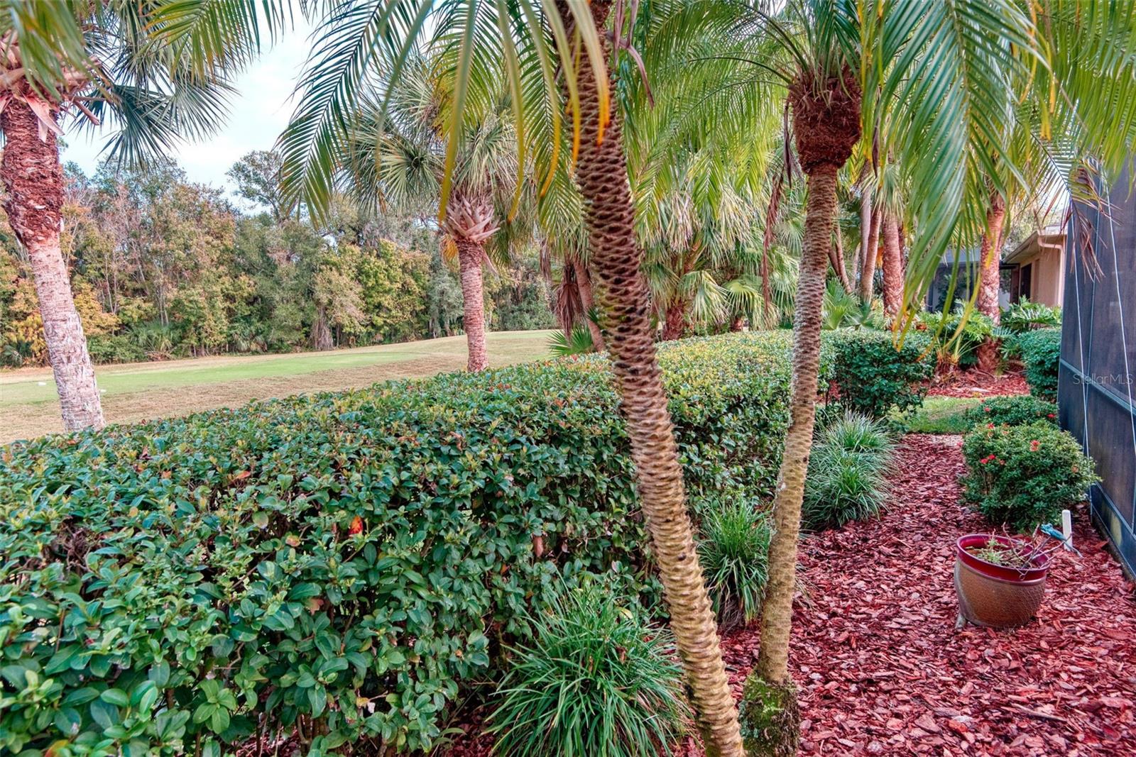 Image 50 of 52 For 591 Highlands Hammock Drive