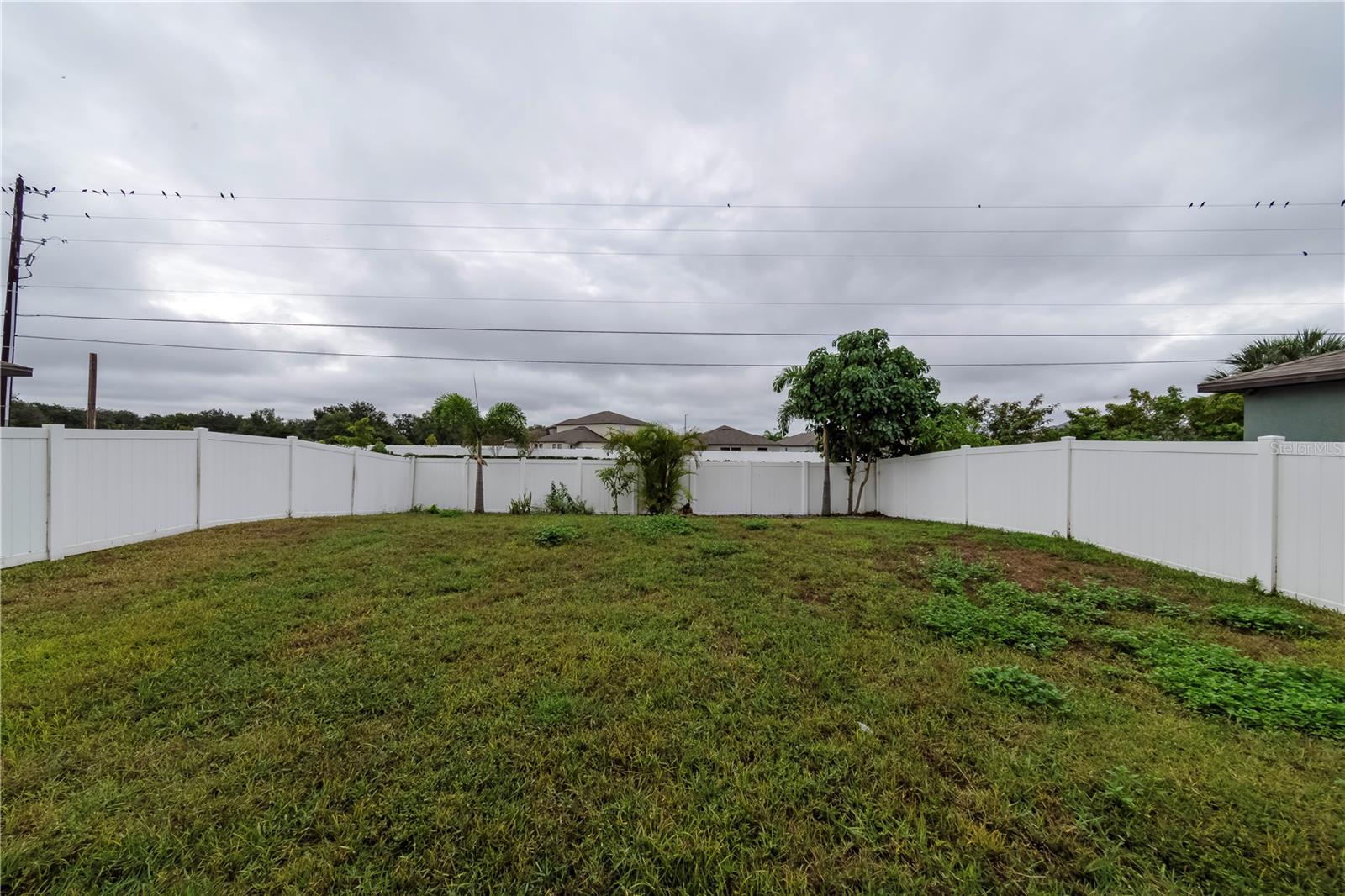 Listing photo id 24 for 10162 Carloway Hills Drive