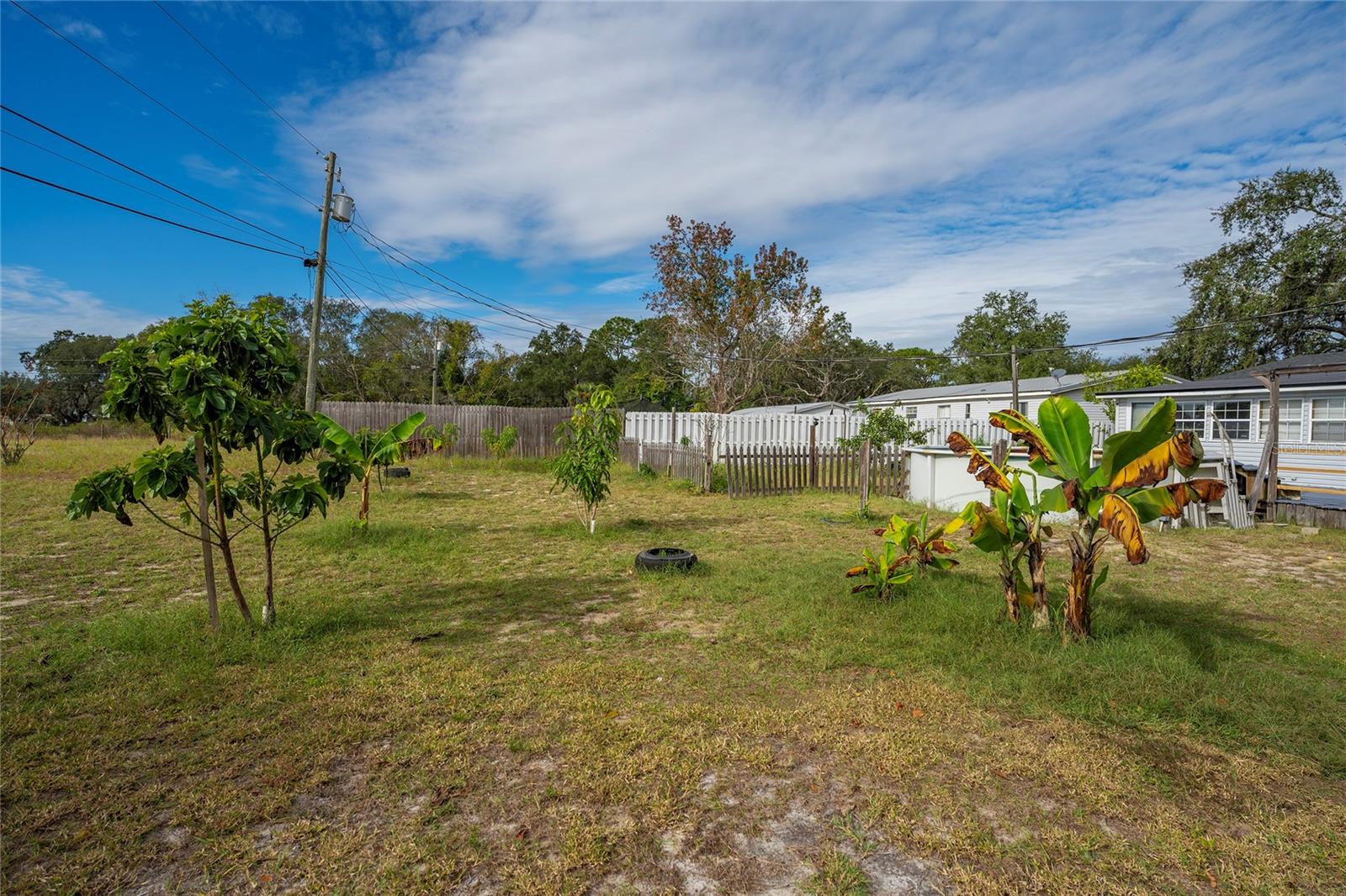 Image 25 of 40 For 213 Bowen Road