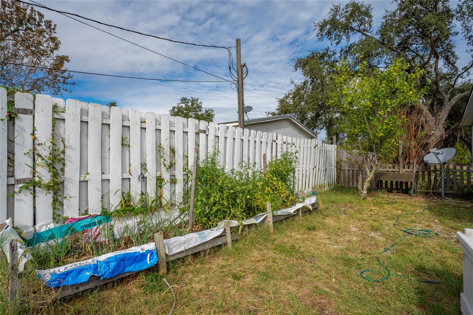 Image 30 of 40 For 213 Bowen Road